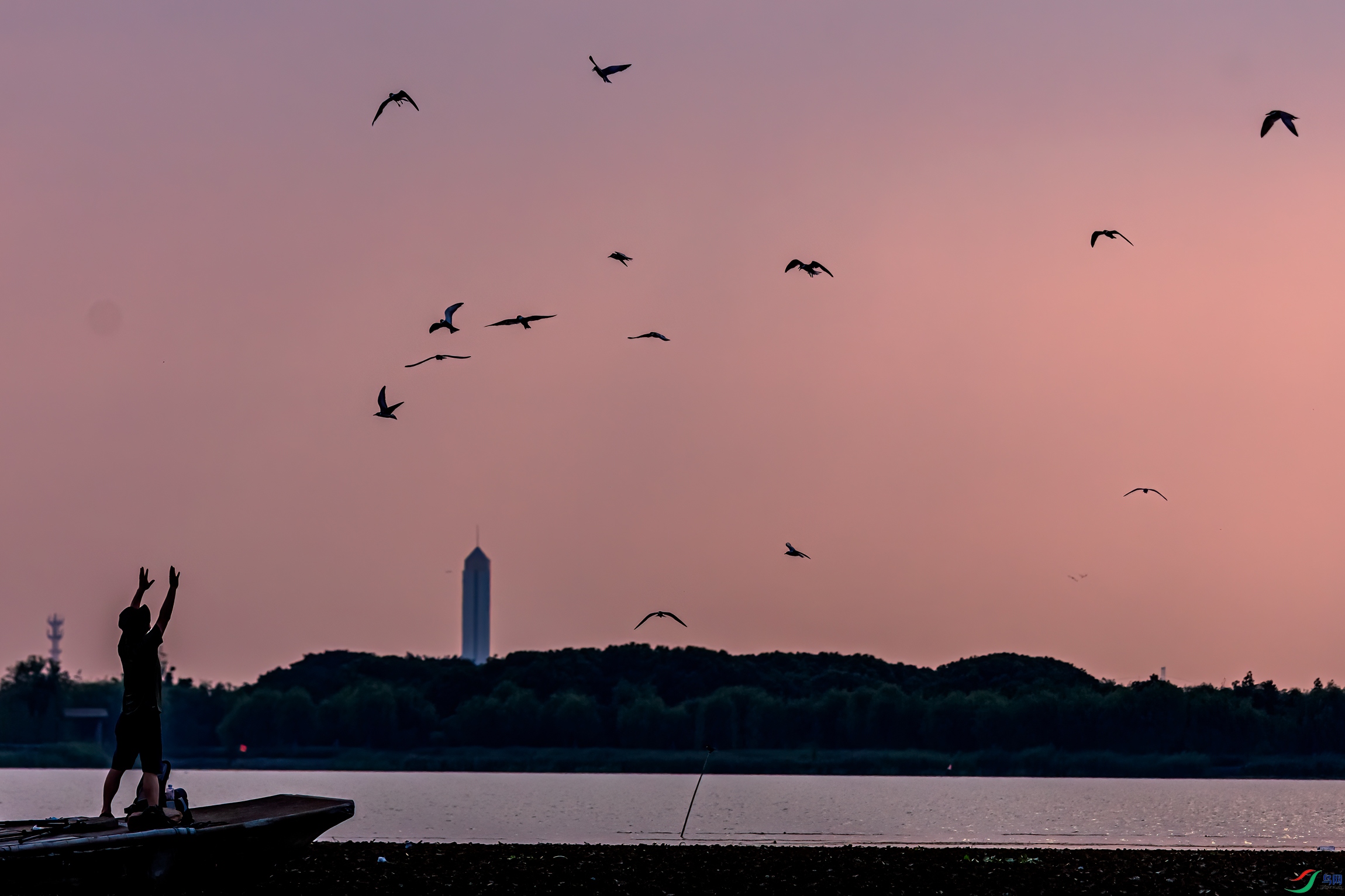 DSC_1163-11.jpg