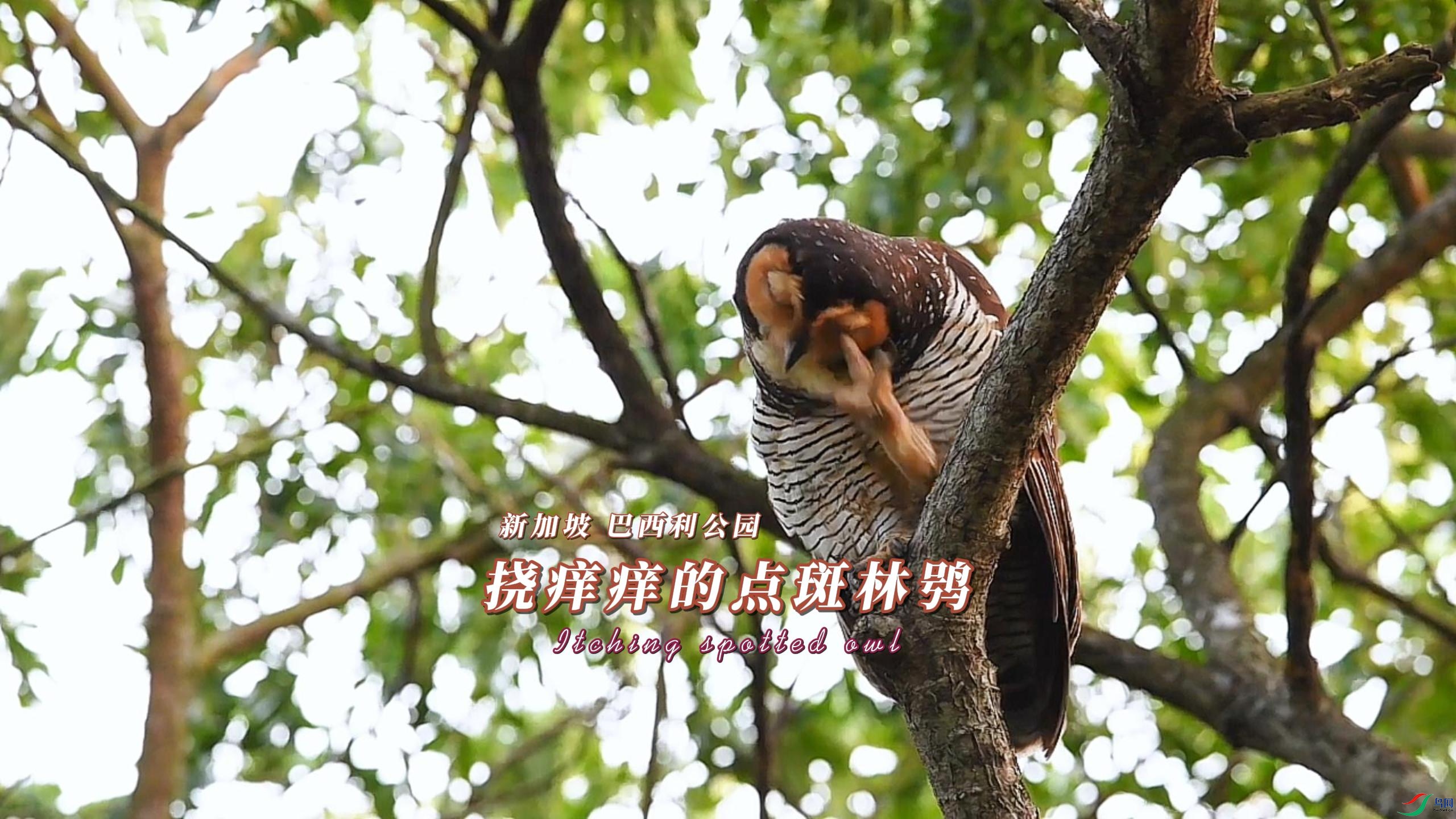 �¼��� ��������԰ �������ĵ�����^-����.jpg