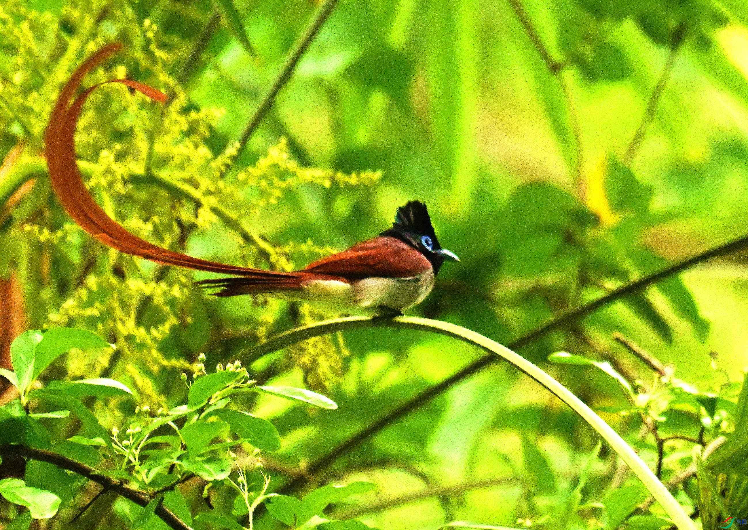 DSC_5351.JPG