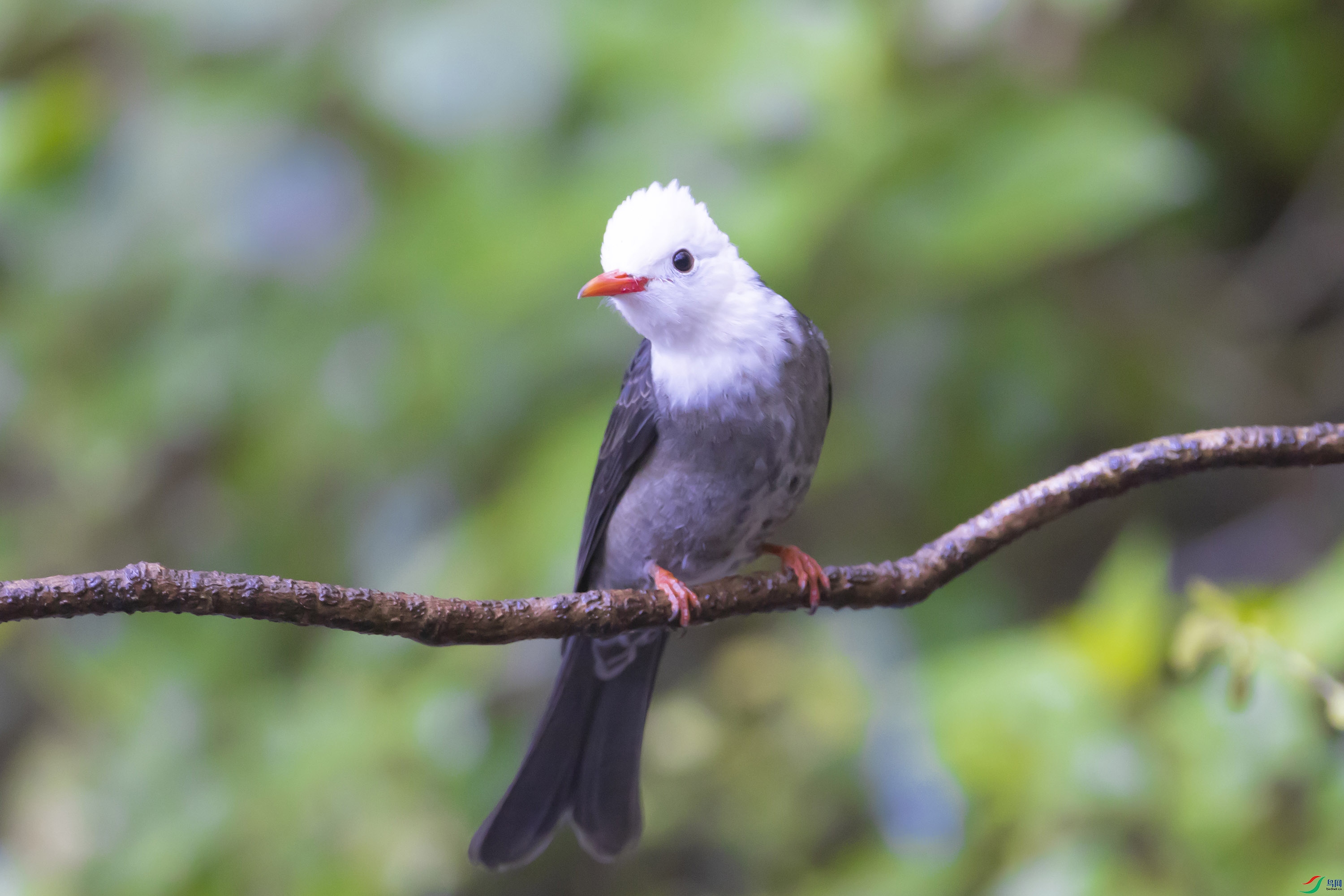 _L3A3657 ����.jpg