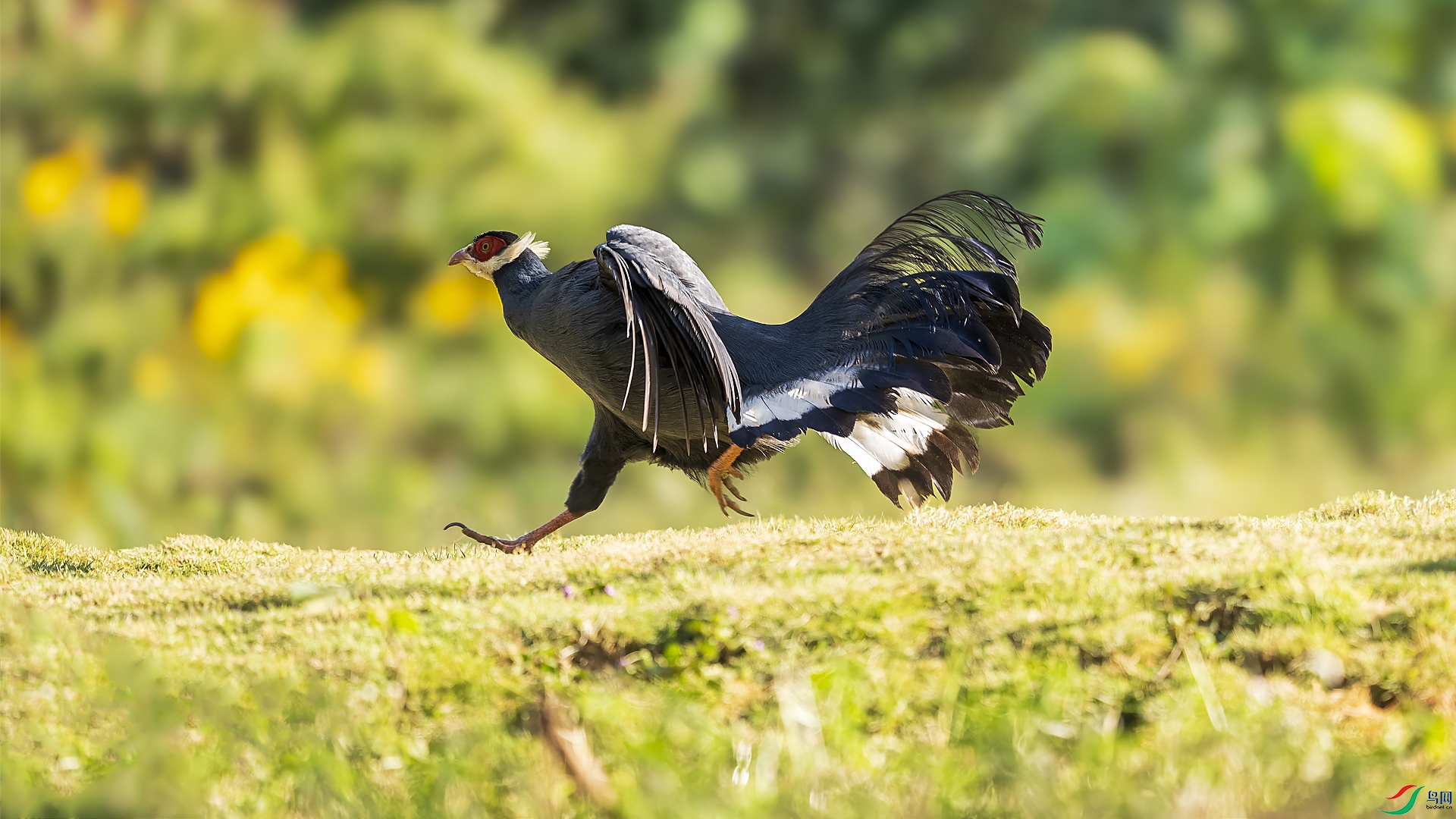 _DSC0394 ���� 2.jpg