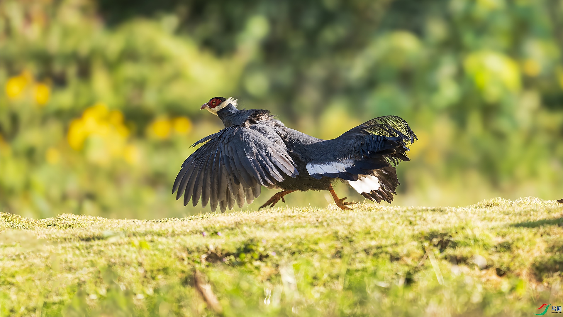 _DSC0393 ����.jpg