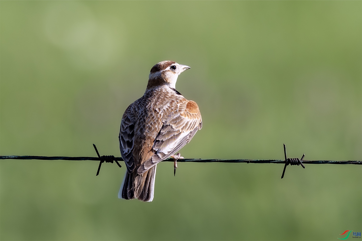 4K2A1918 �ɹŰ���001.jpg