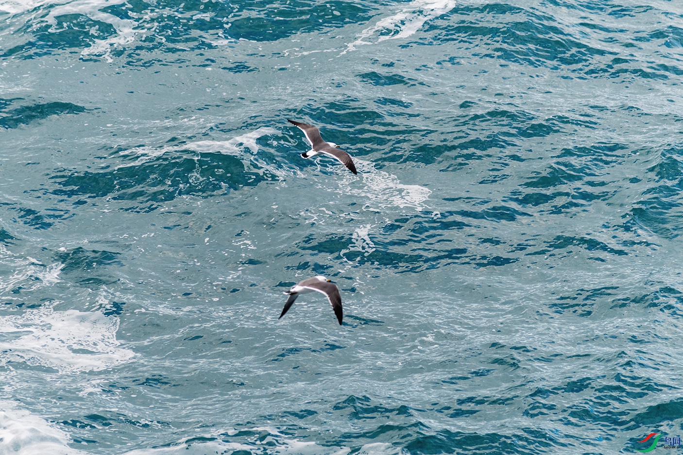 DSC_0710_DxOa.jpg