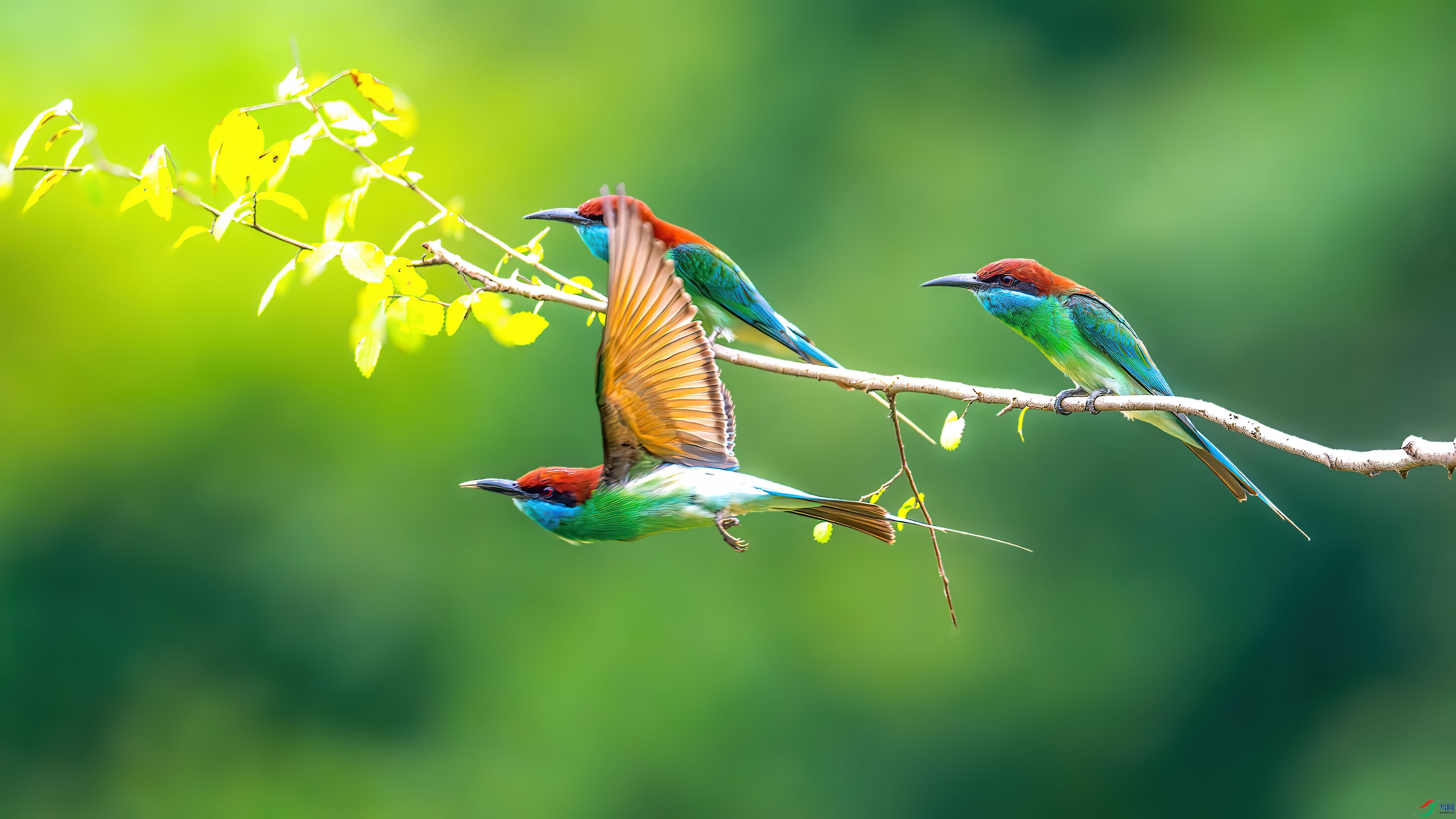 DSC_7647-����ǿ-NR.jpg