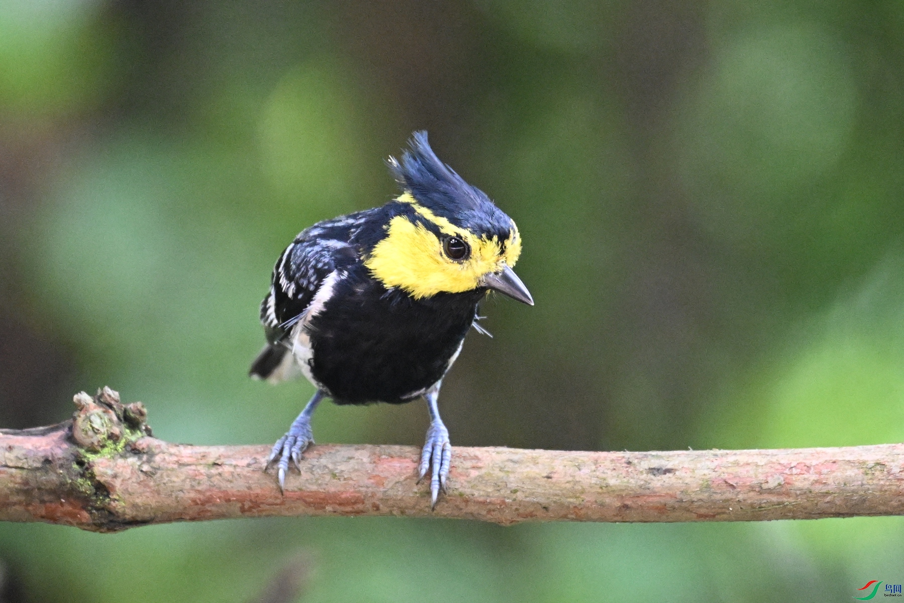 DSC_0036.JPG