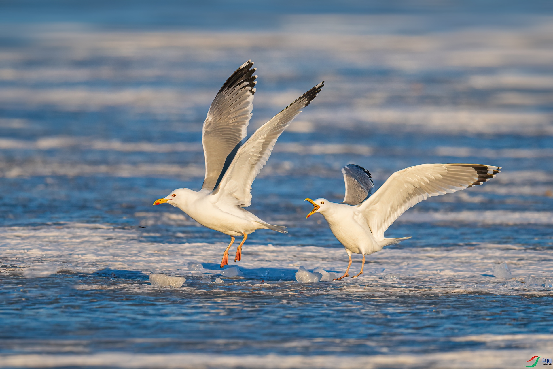 _DSC2055-1xx.jpg