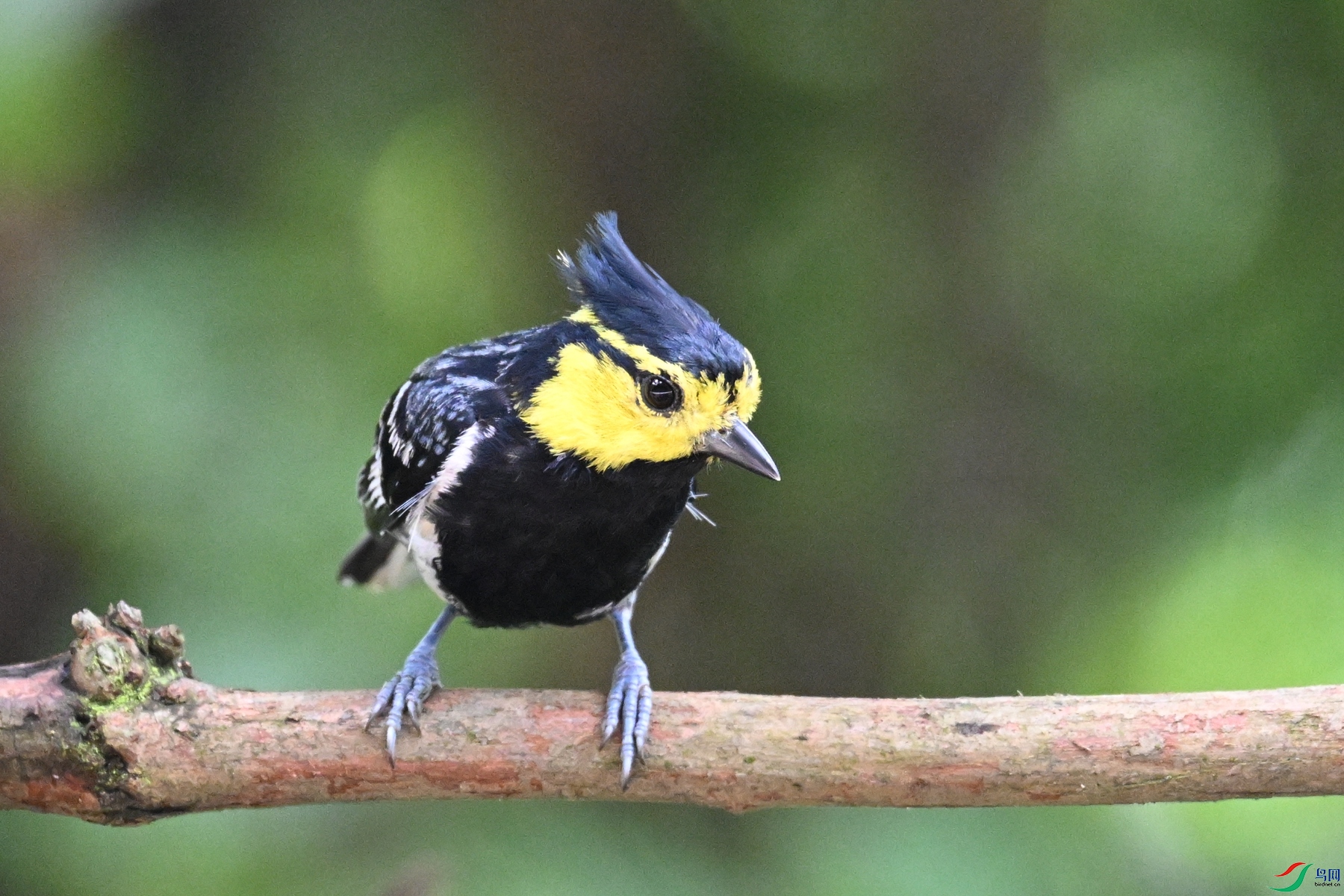 DSC_0037.JPG