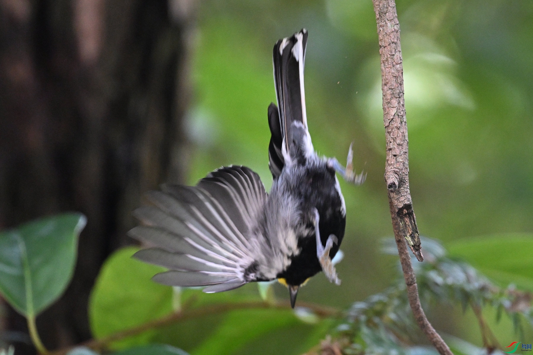 DSC_0033.JPG