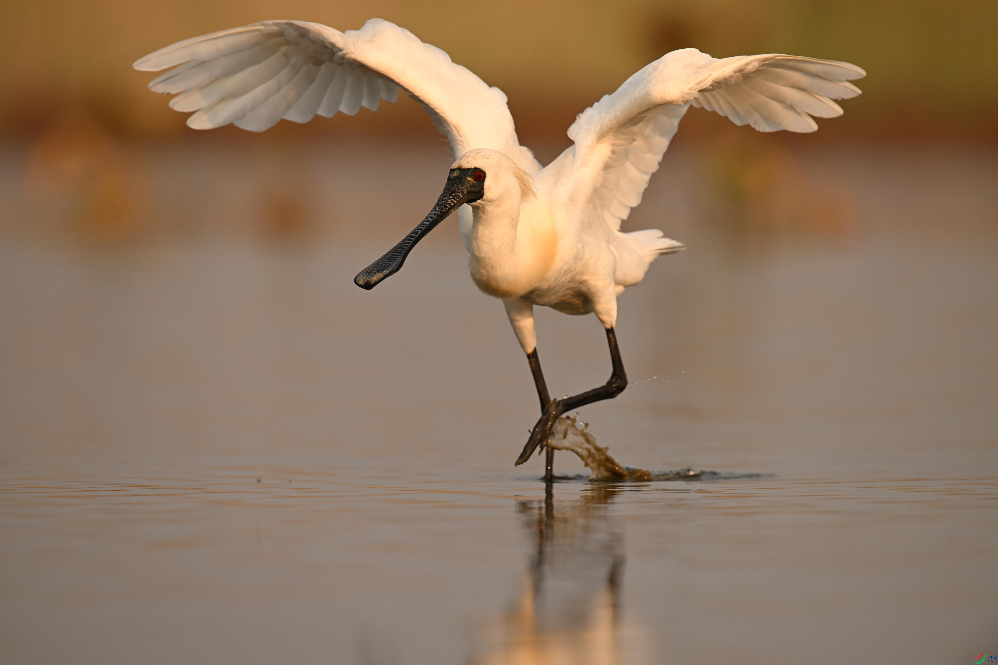 �������� (4).jpg