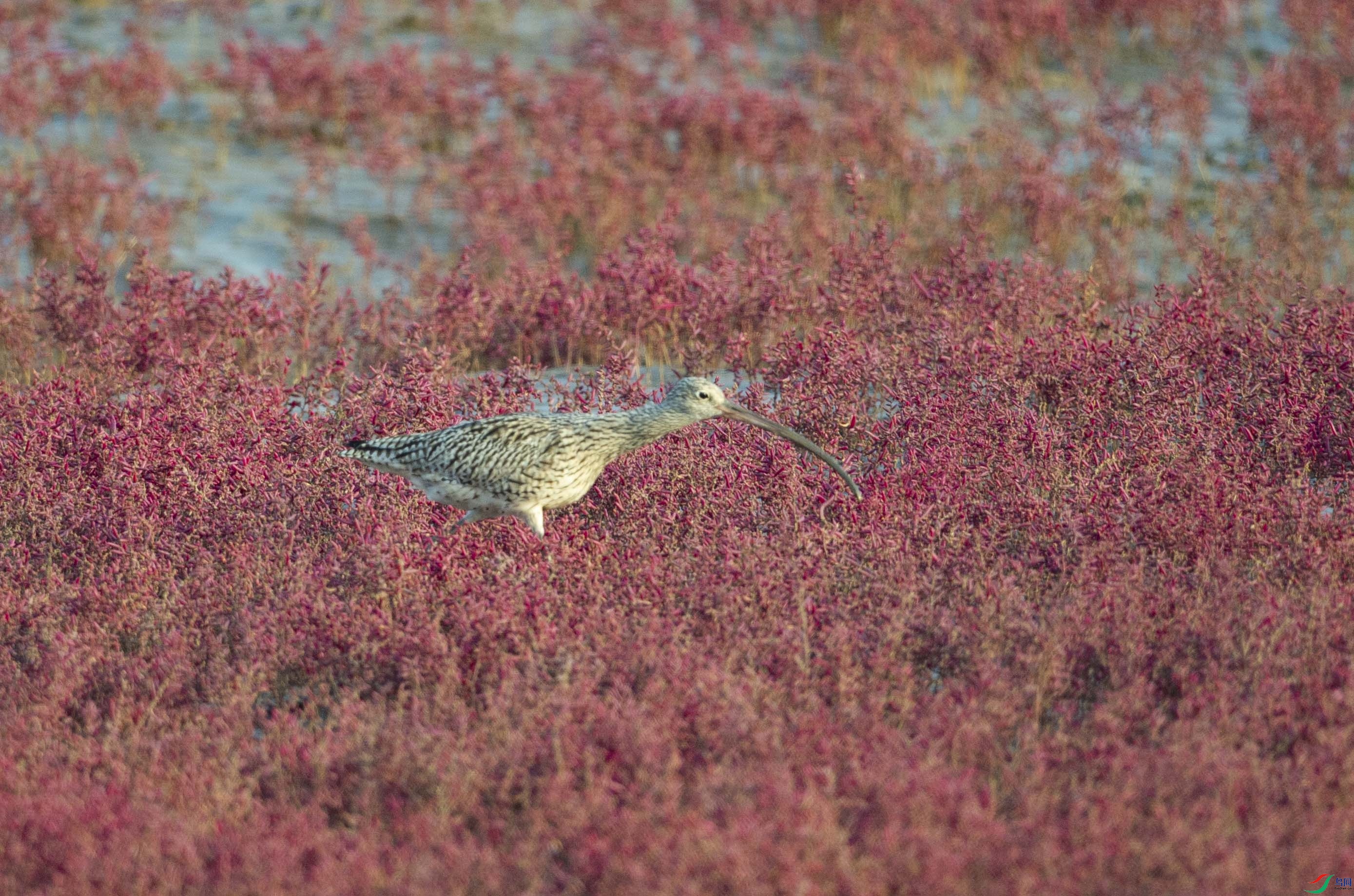 _DSC3543.jpg