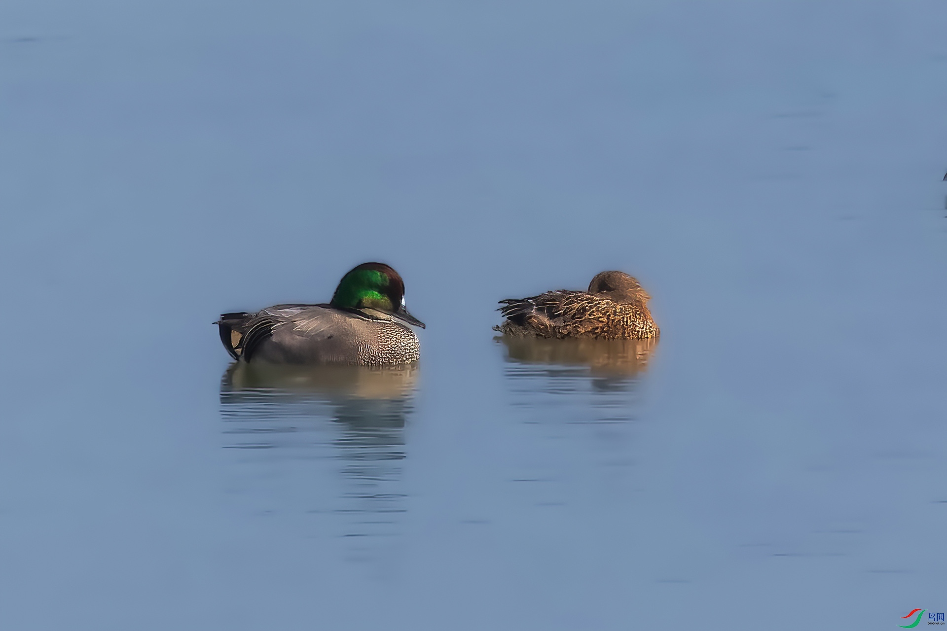 _MG_6533-CR2_DxO_(1920).jpg