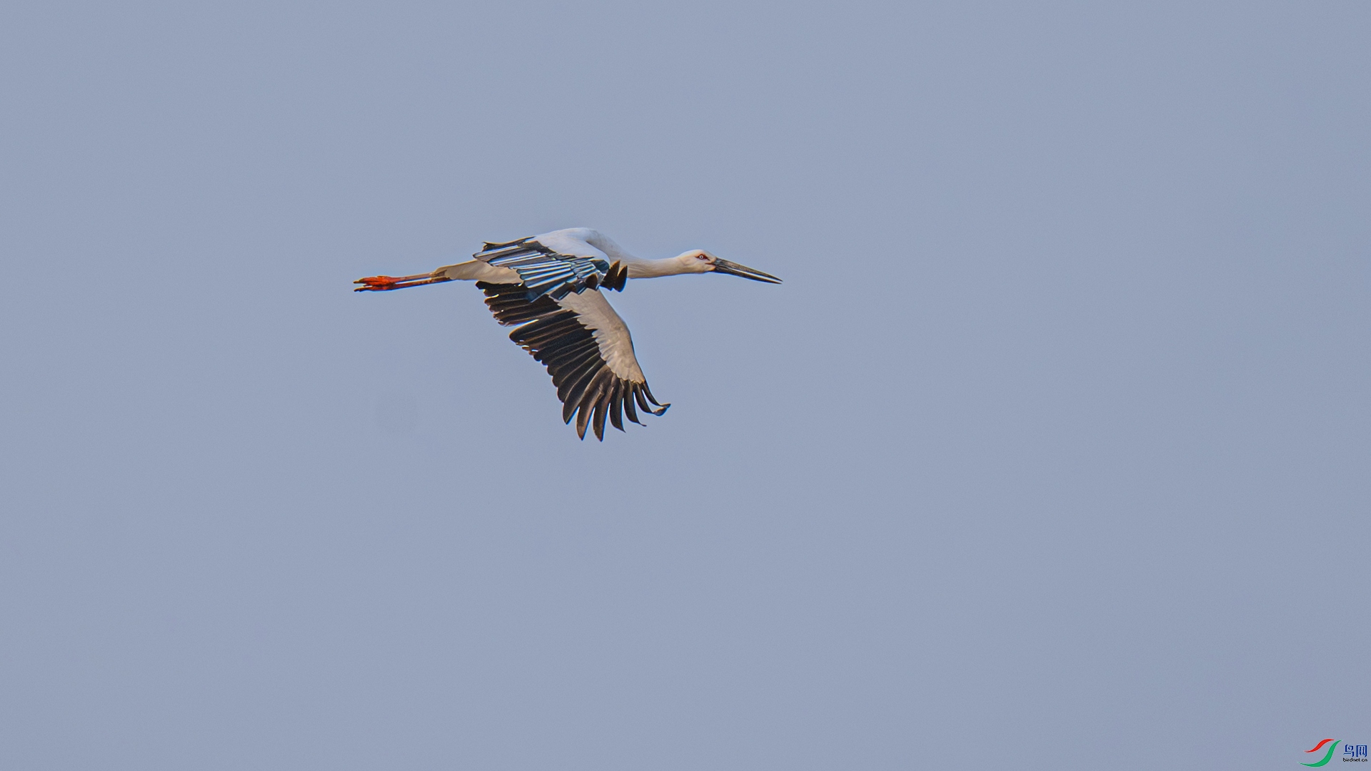 DSC_6125 ����_����.jpg