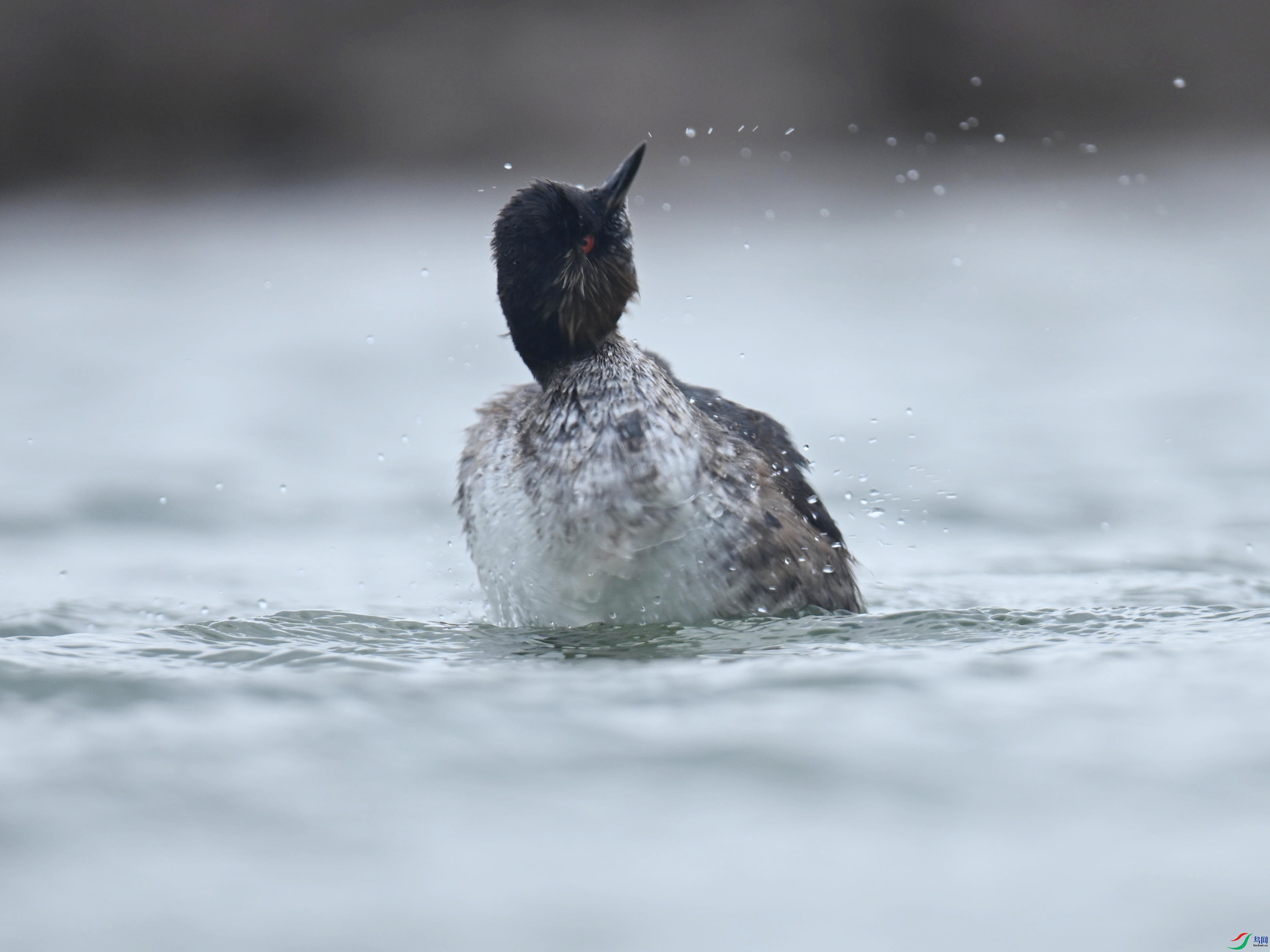 �ھ�PT (136).jpg