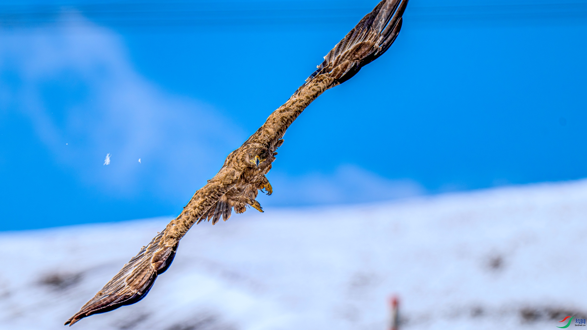 DSC_1707 ����_����.jpg