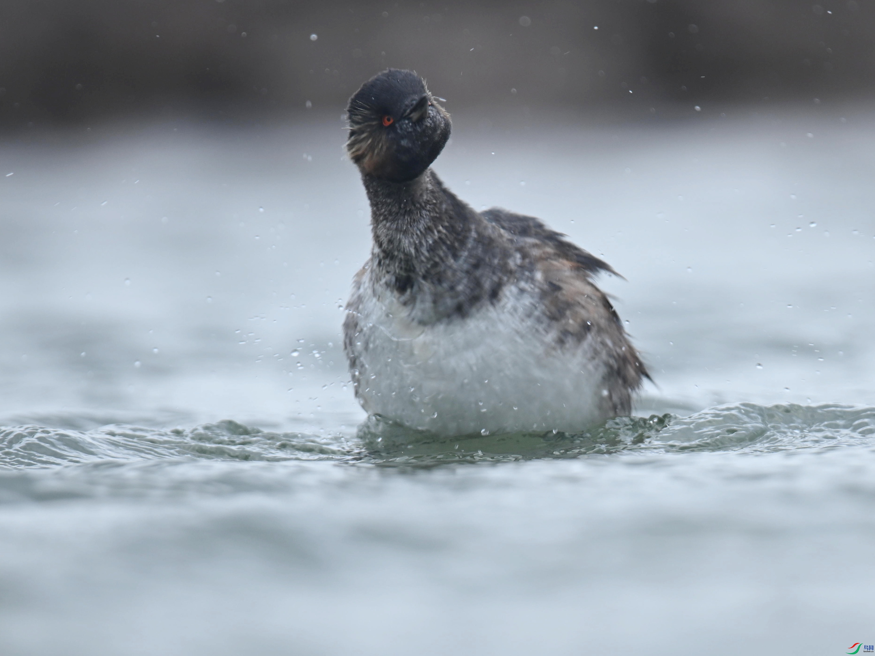 �ھ�PT (138).jpg