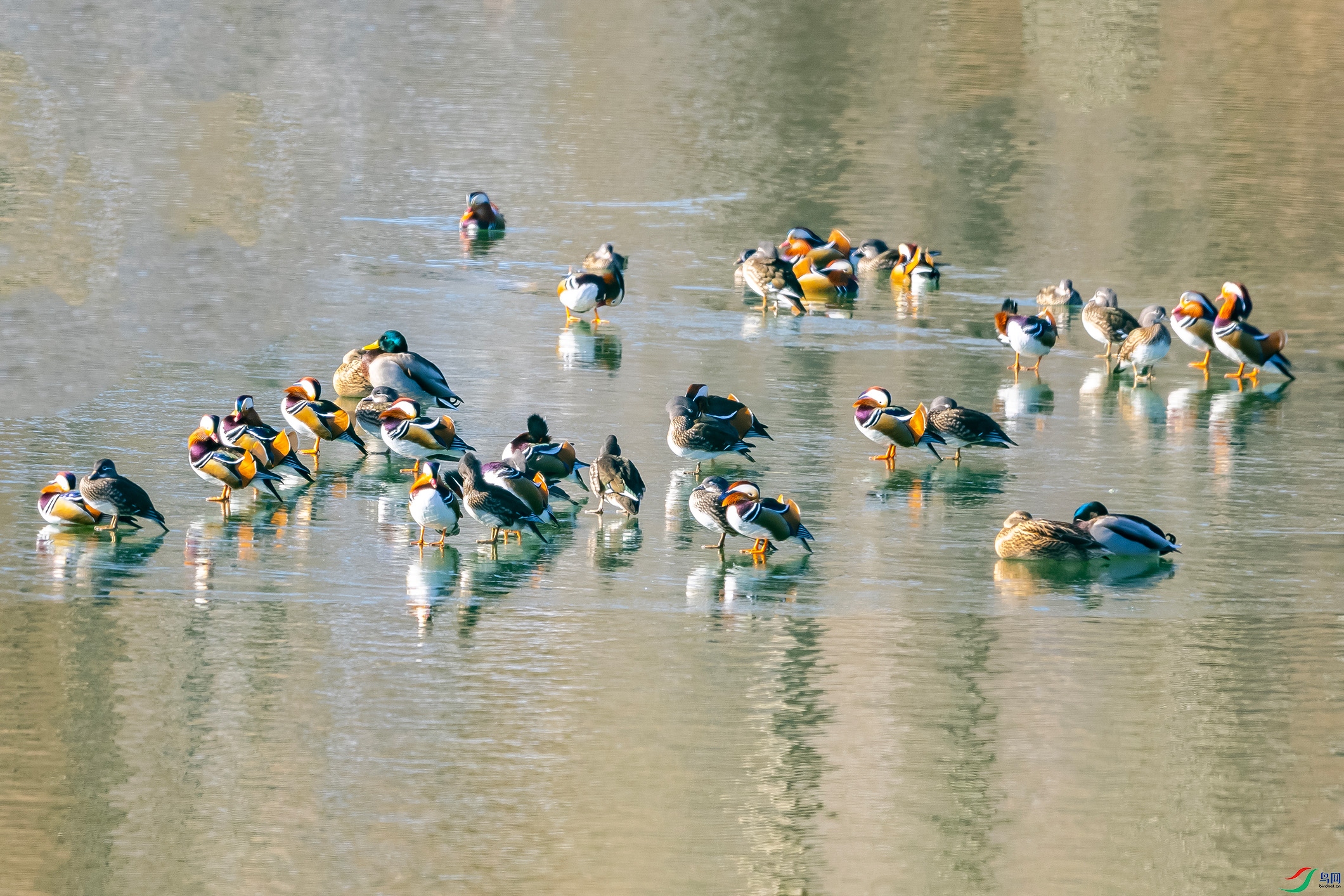 IMG_9447 ����.jpg