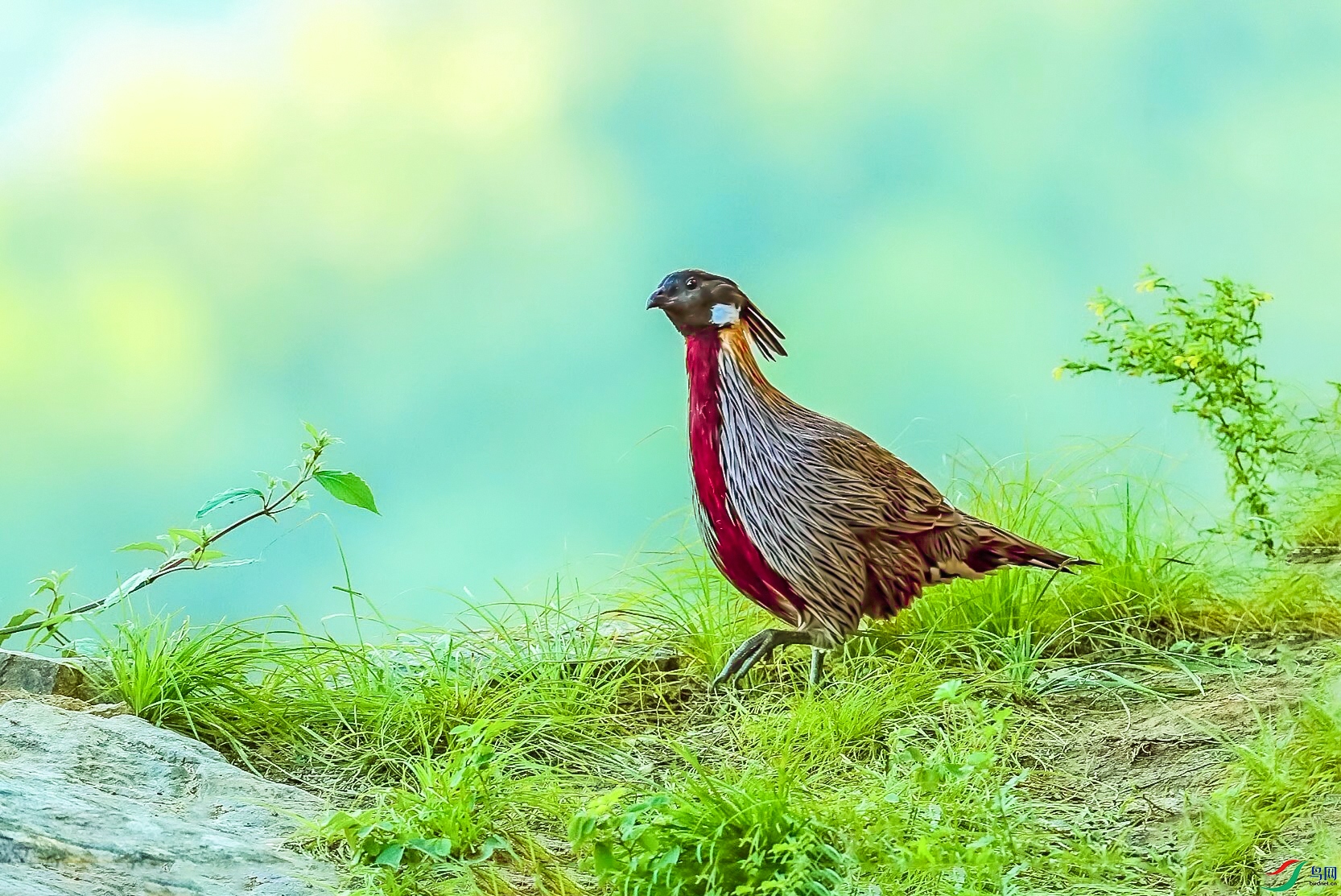 psc (3) ���� 3.jpg