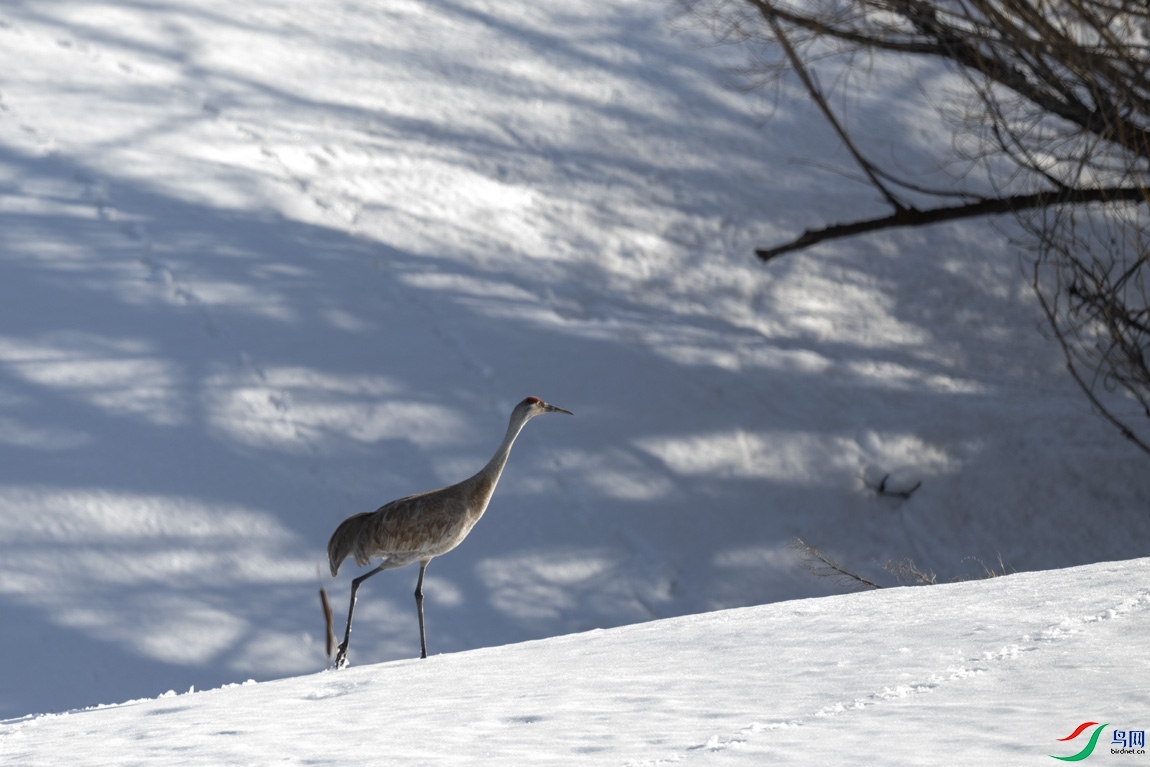 DSC_2847.jpg