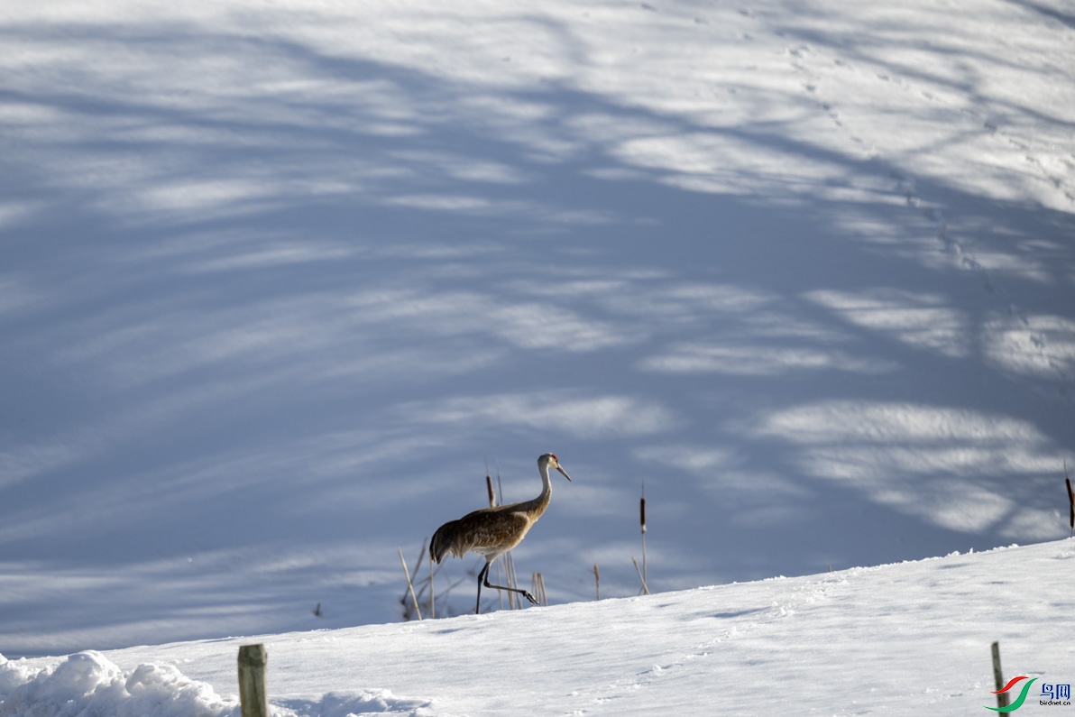 DSC_2868.jpg