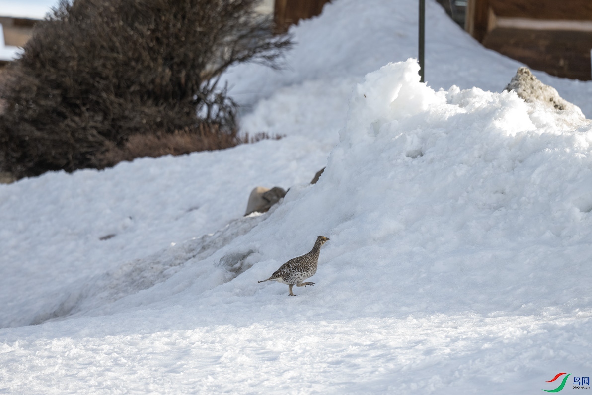 DSC_2960.jpg