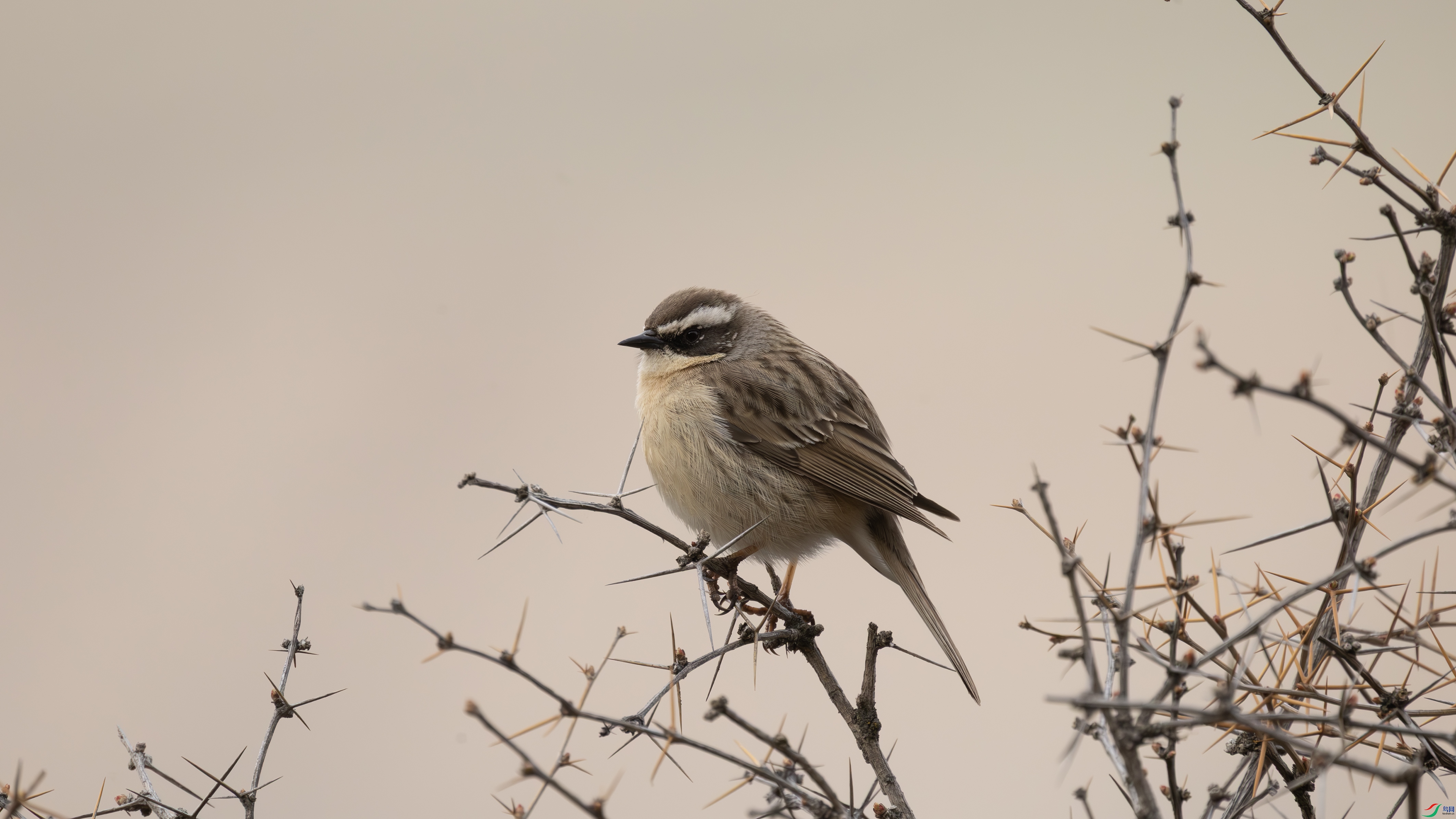 7X5A0154 ����444.jpg