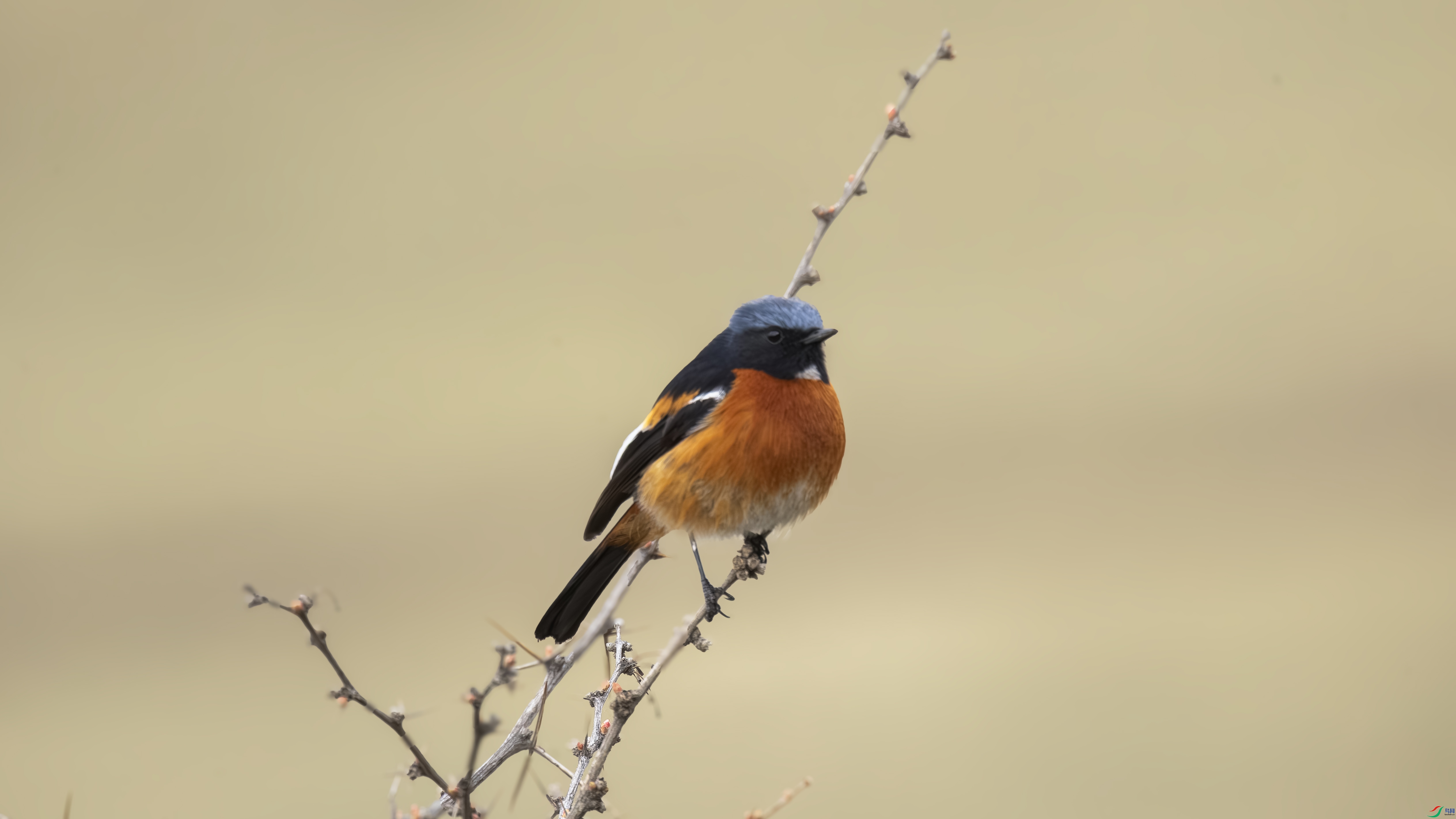 7X5A0190 ����.jpg