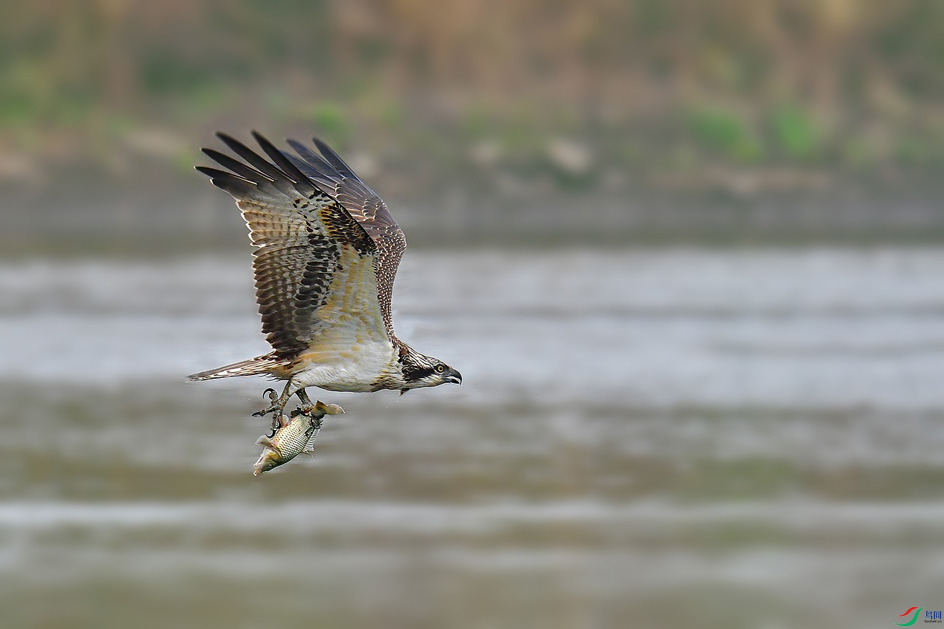 DSC_1944 ����.jpg