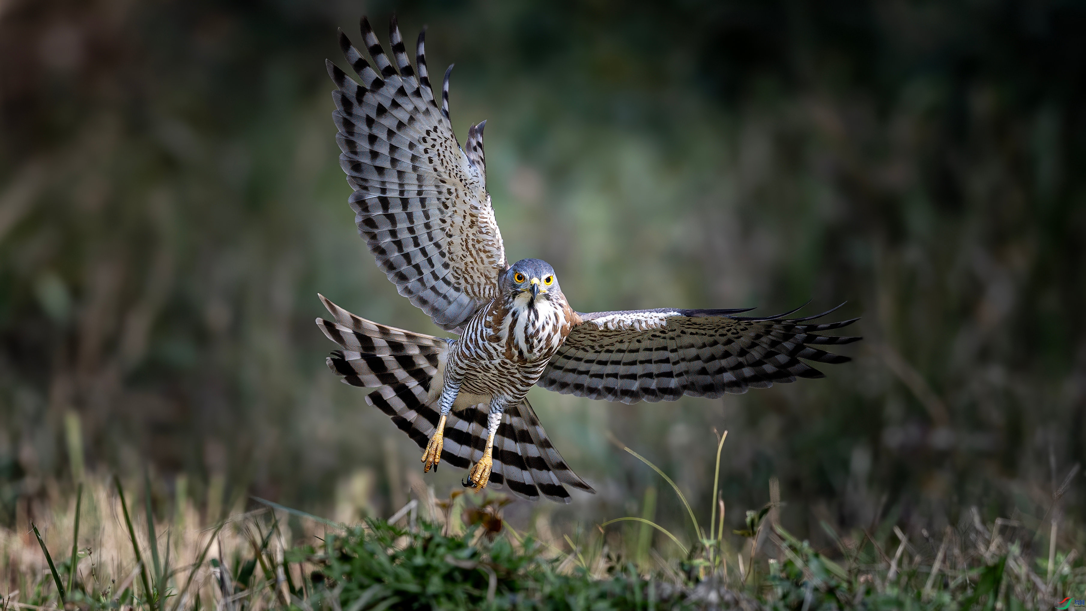 0H6A5343 ����_����.jpg