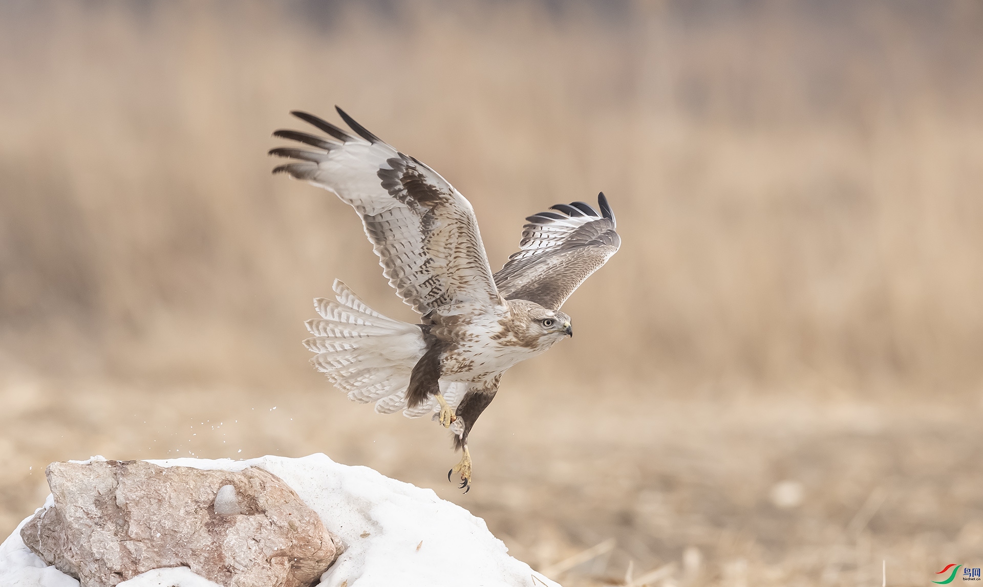 019A1082 ����2.jpg