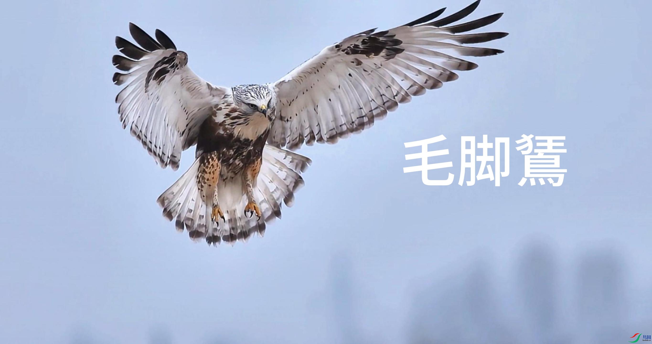 12��18�� (1)-����.jpg