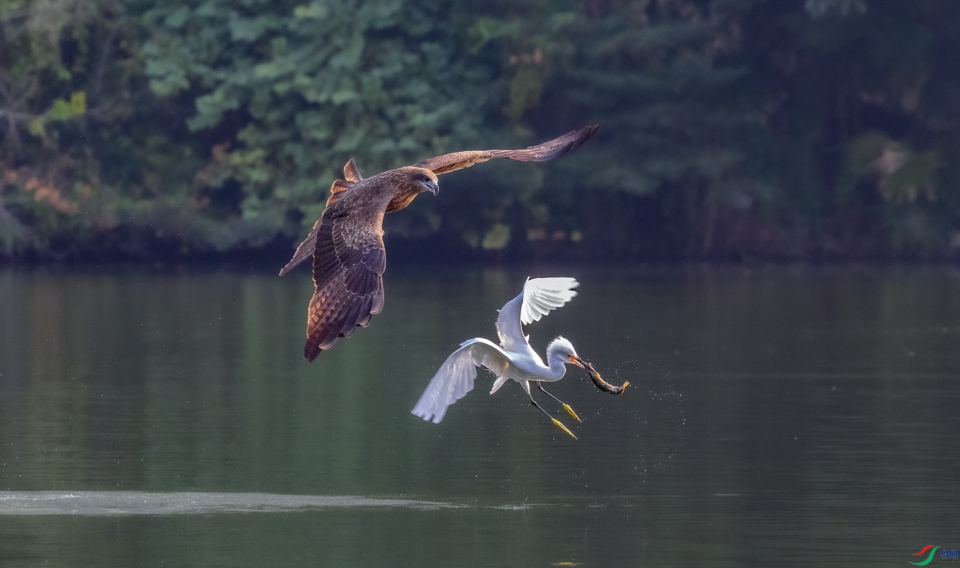 0E8A4890����  03.jpg