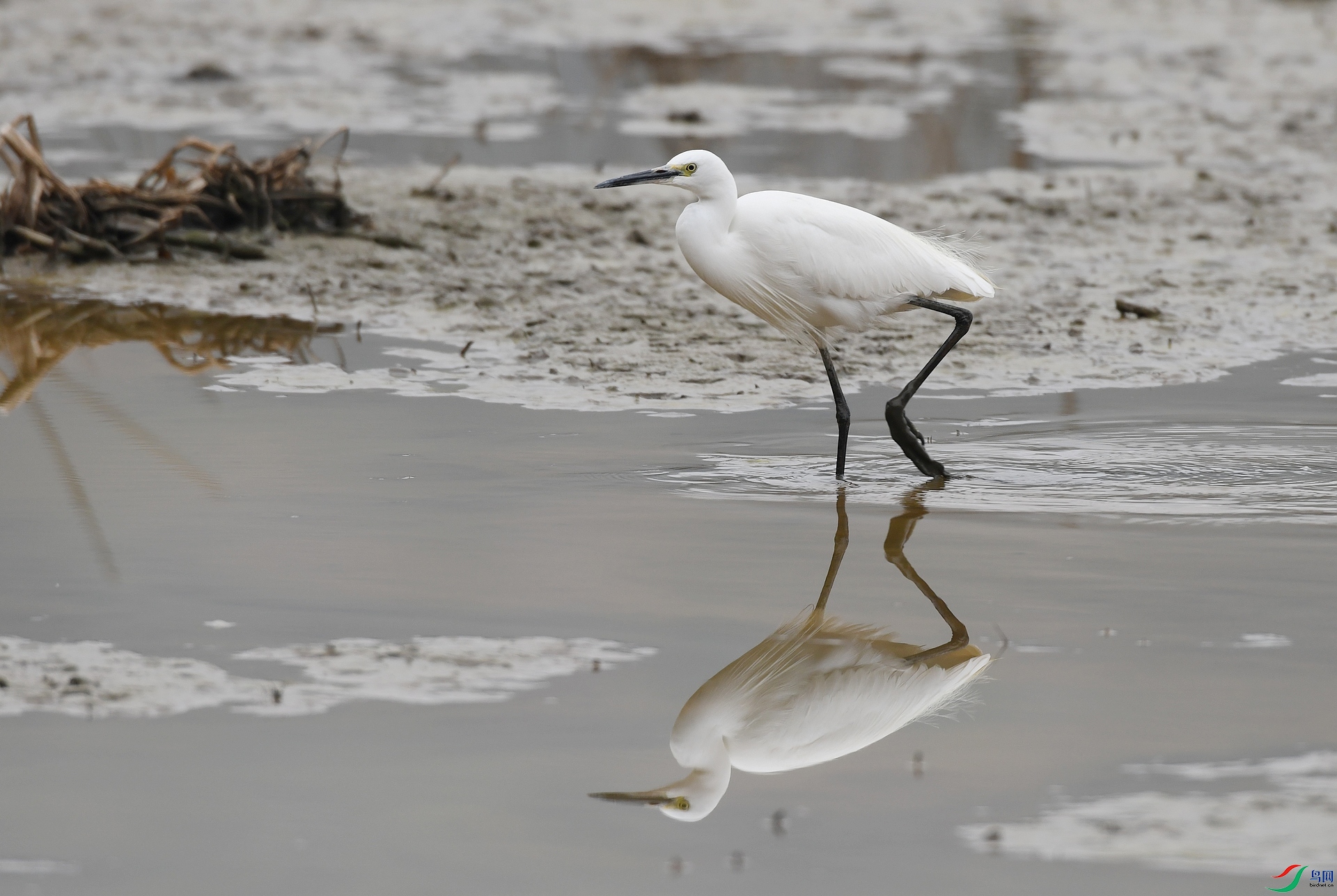 DSC_5655.jpg