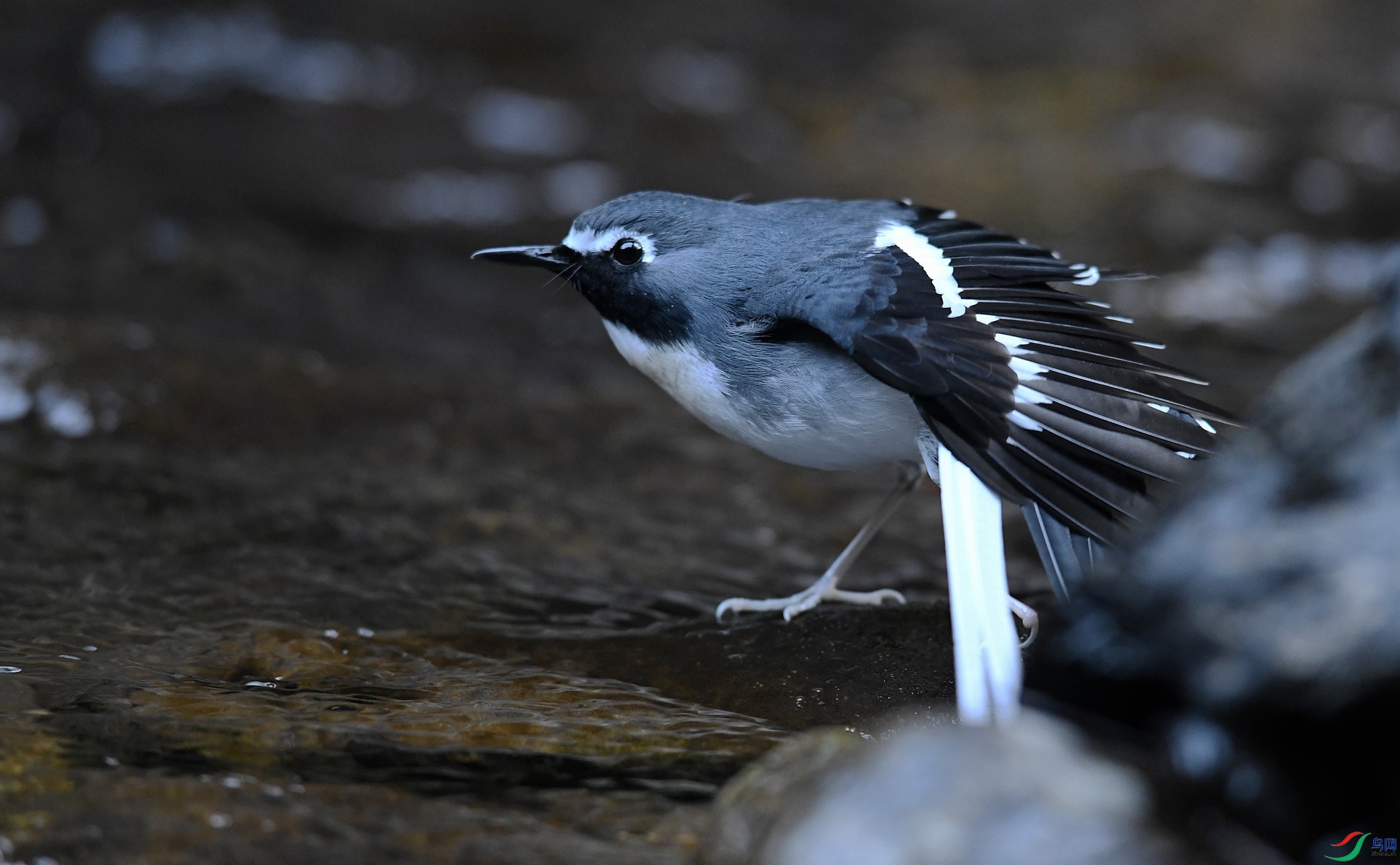 DSC_6782.jpg