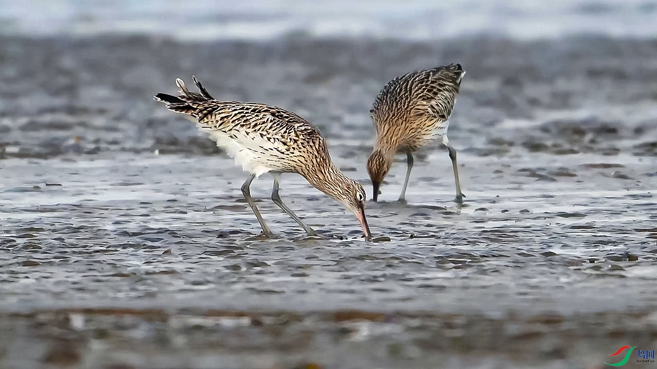 12��14�� ������ʳ����Ϻ-���棨���壩.jpg