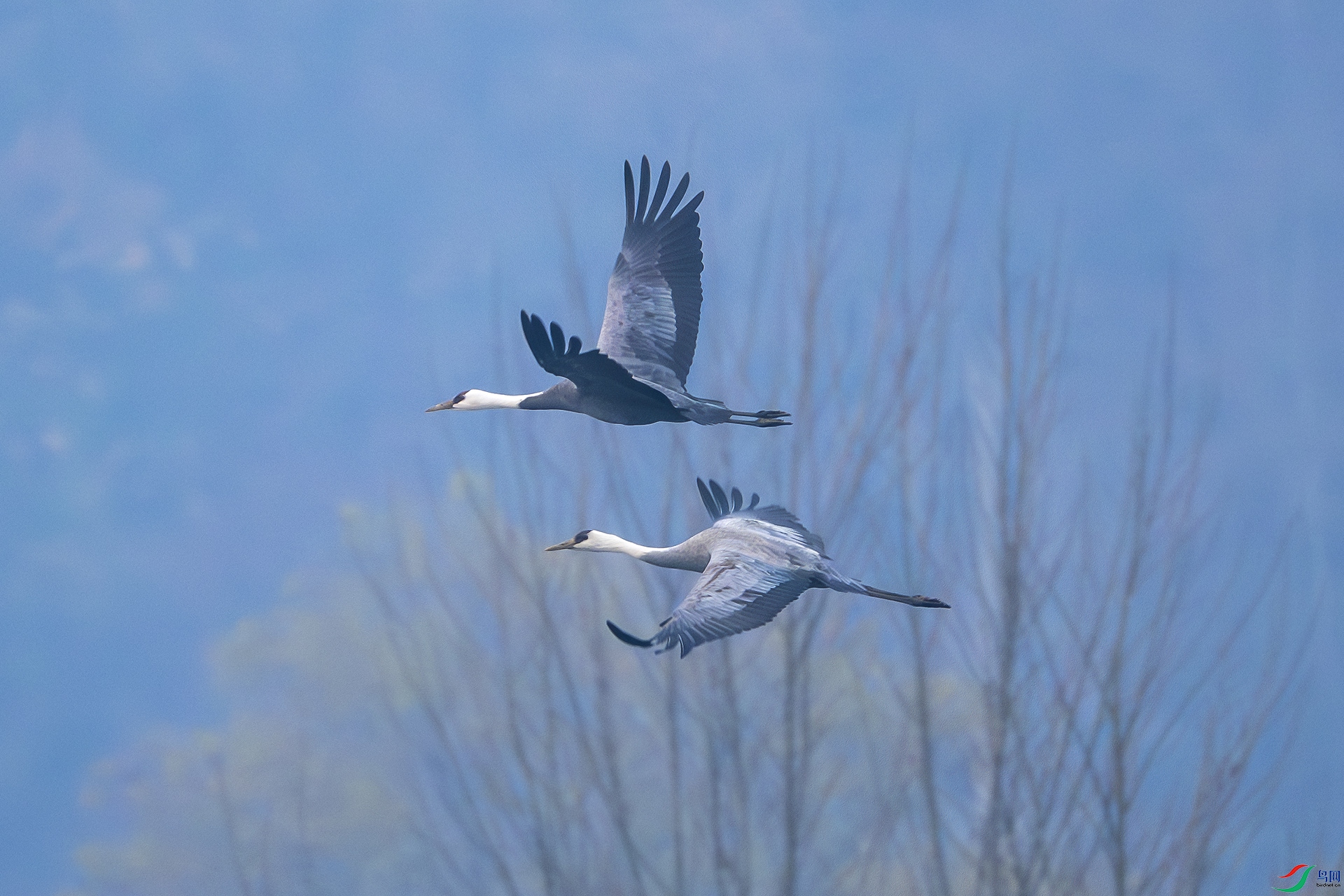 _DSF7960 ����.jpg