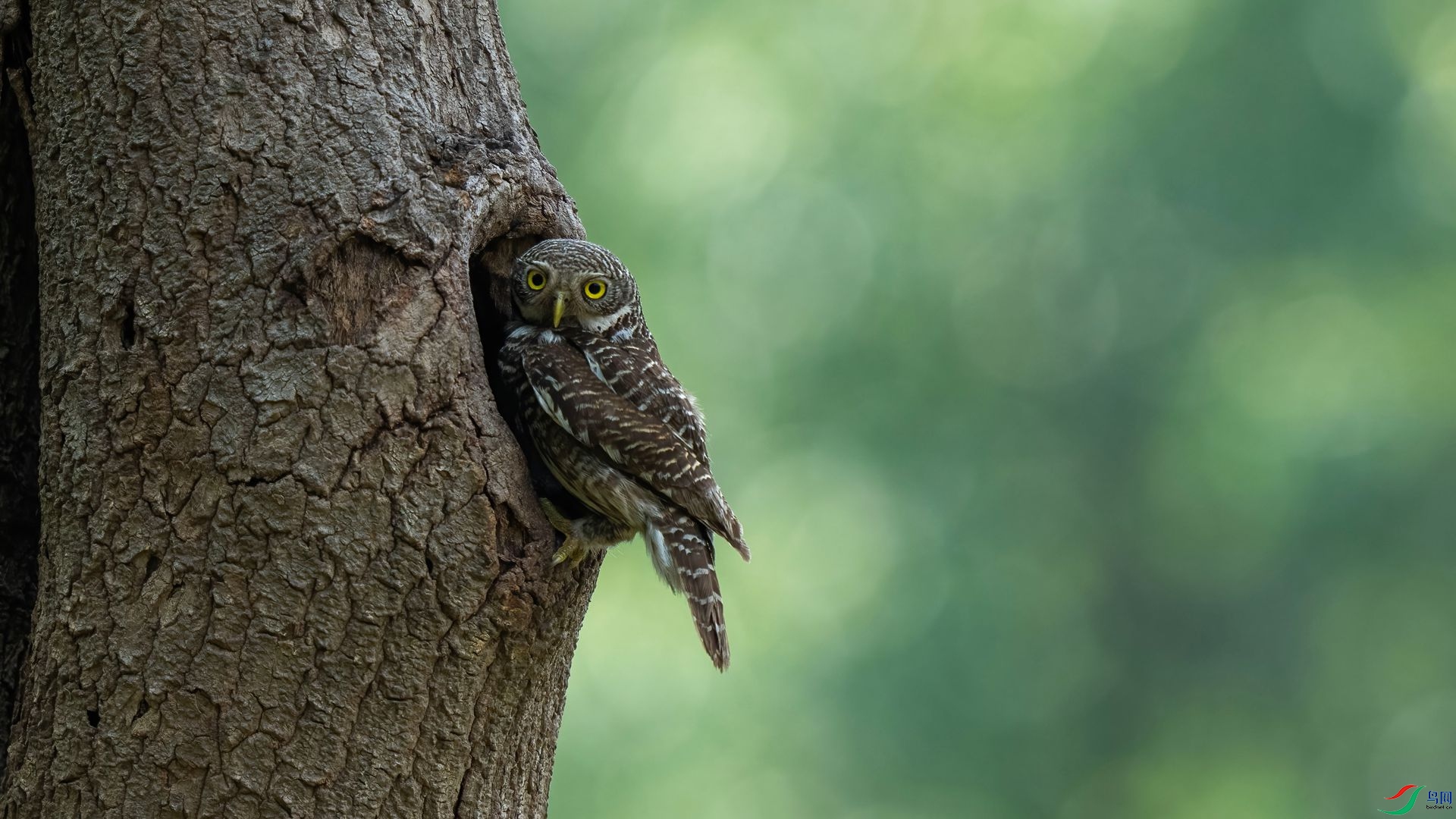 1��DSC07315 ����.jpg