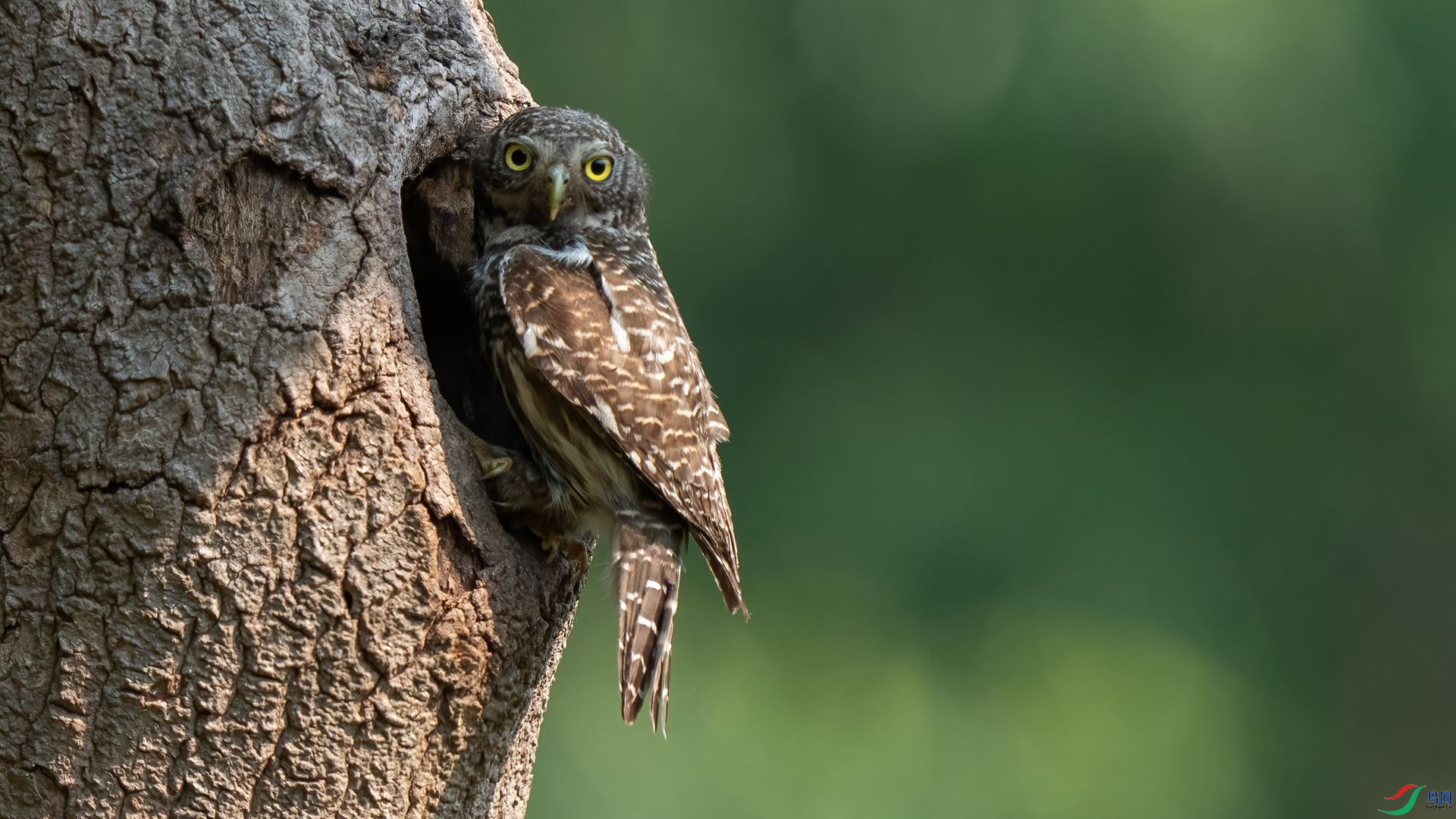 5��DSC09010 ����.jpg