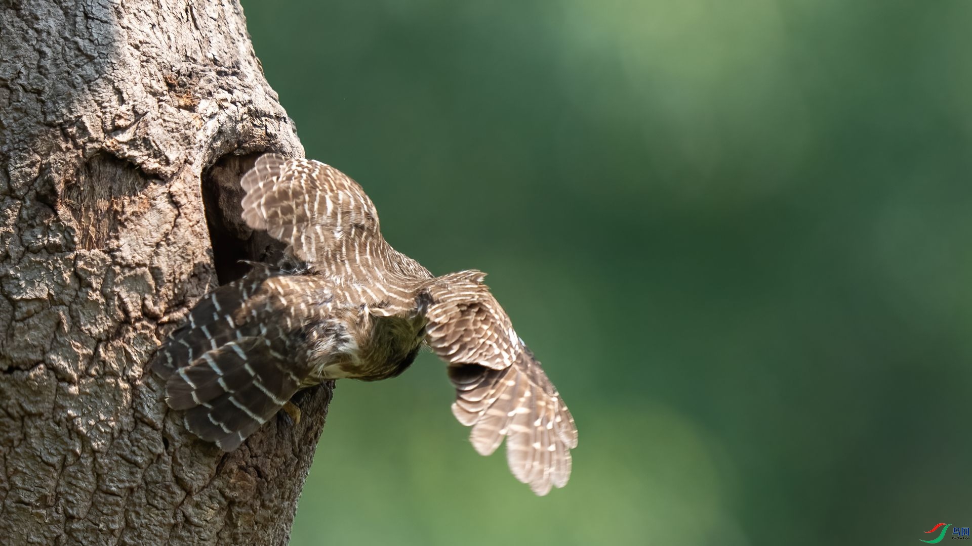 7��DSC08748 ����.jpg