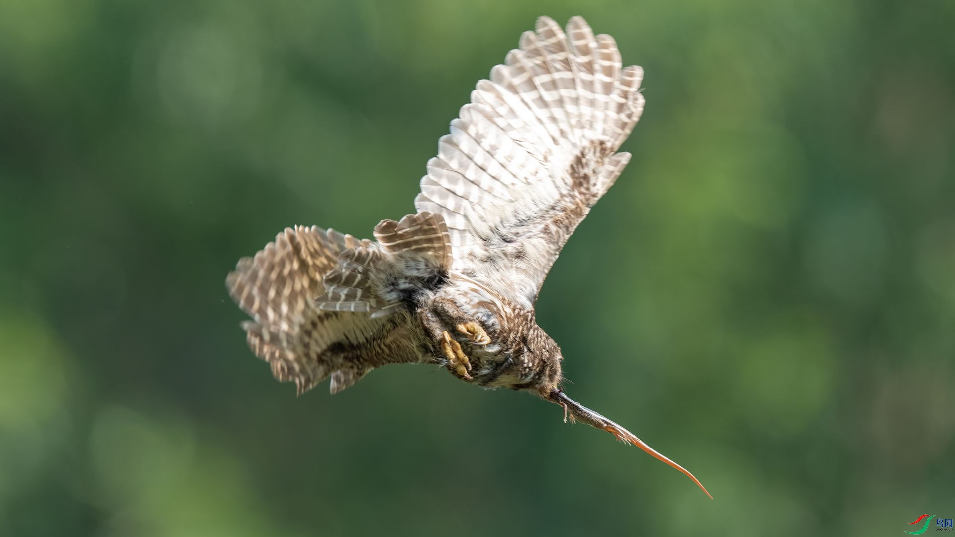 10��DSC08985 ����.jpg