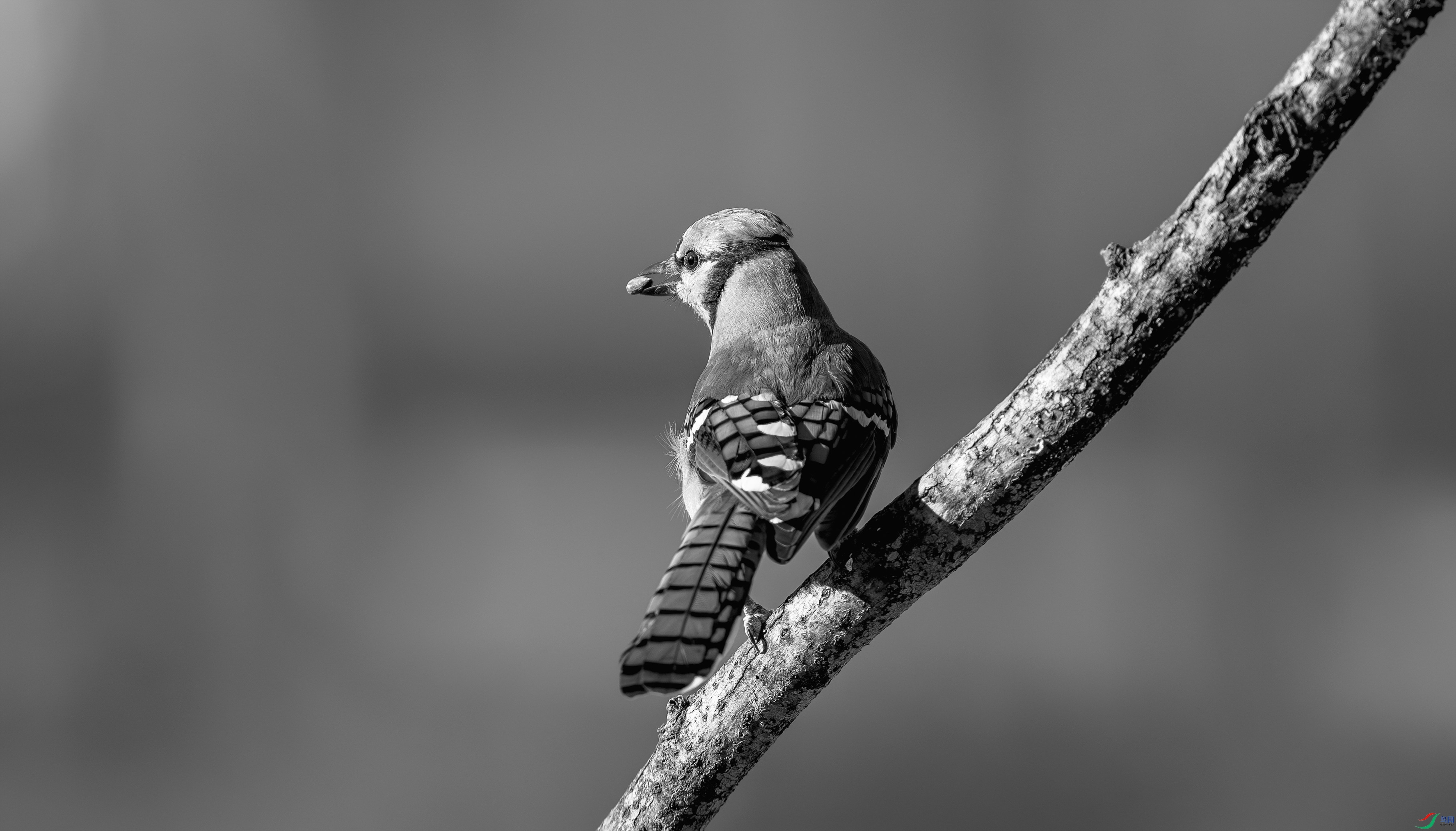 412A5141-1-3_����=00.jpg