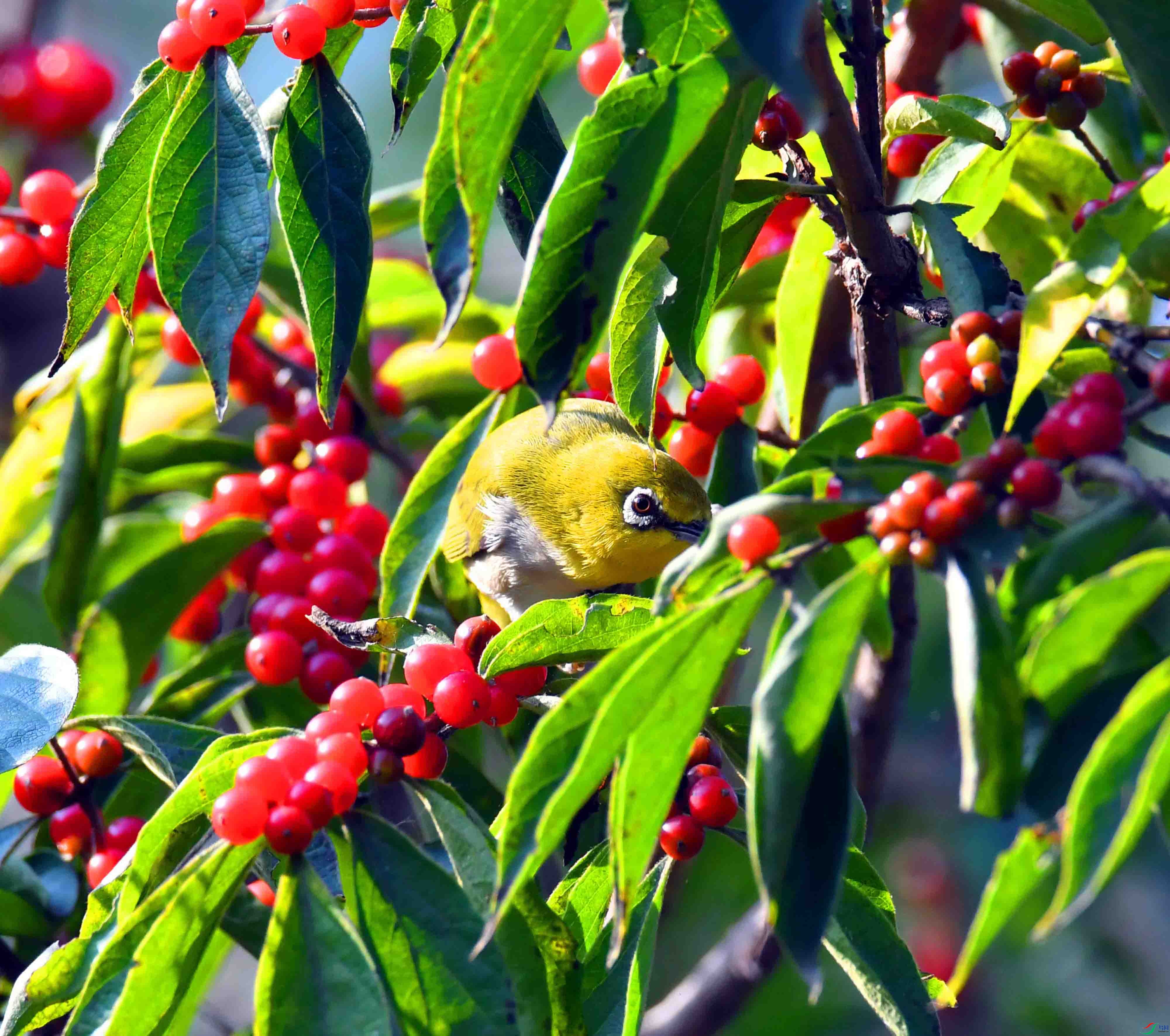 DSC_1708.JPG