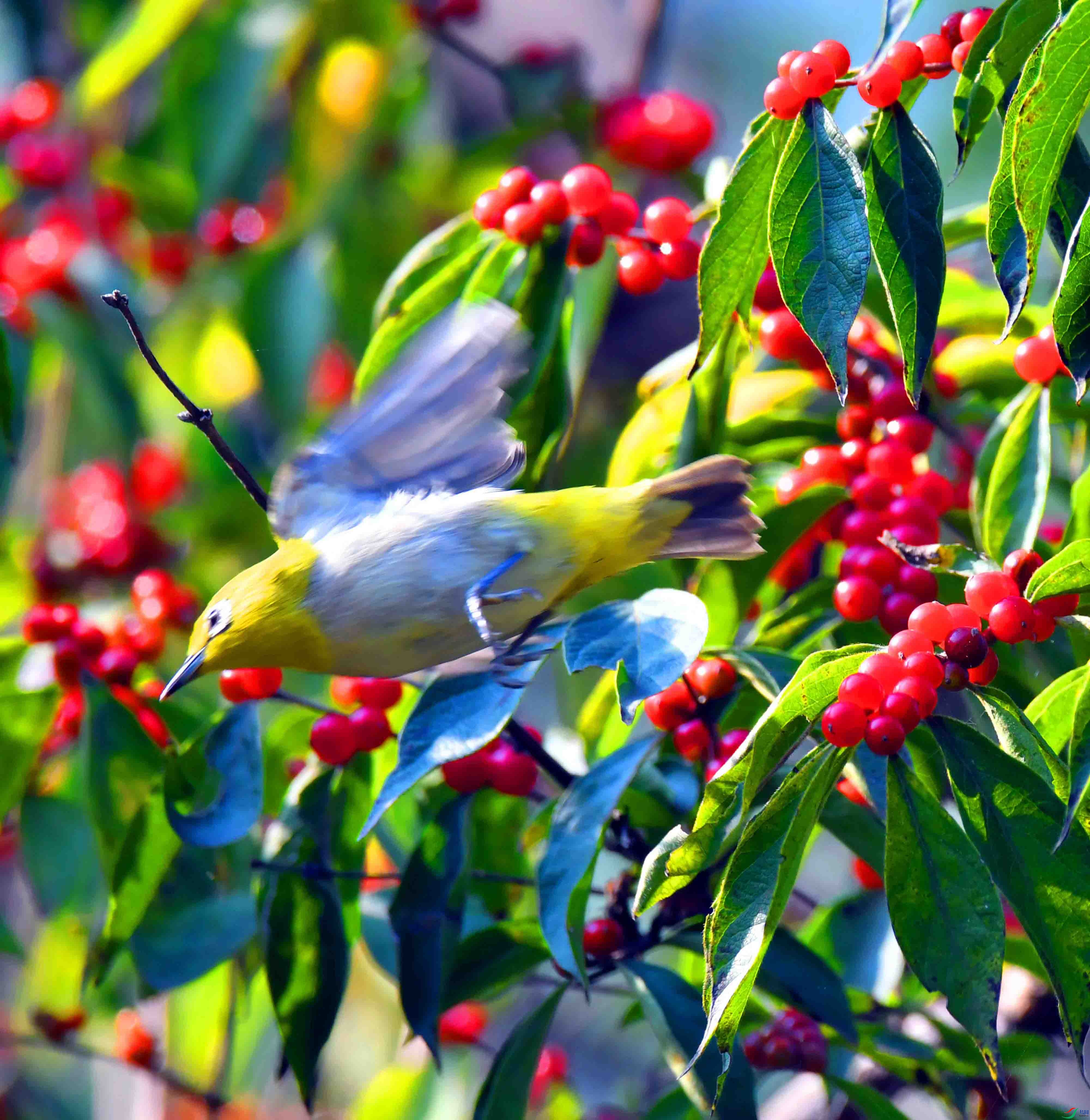 DSC_1730.JPG