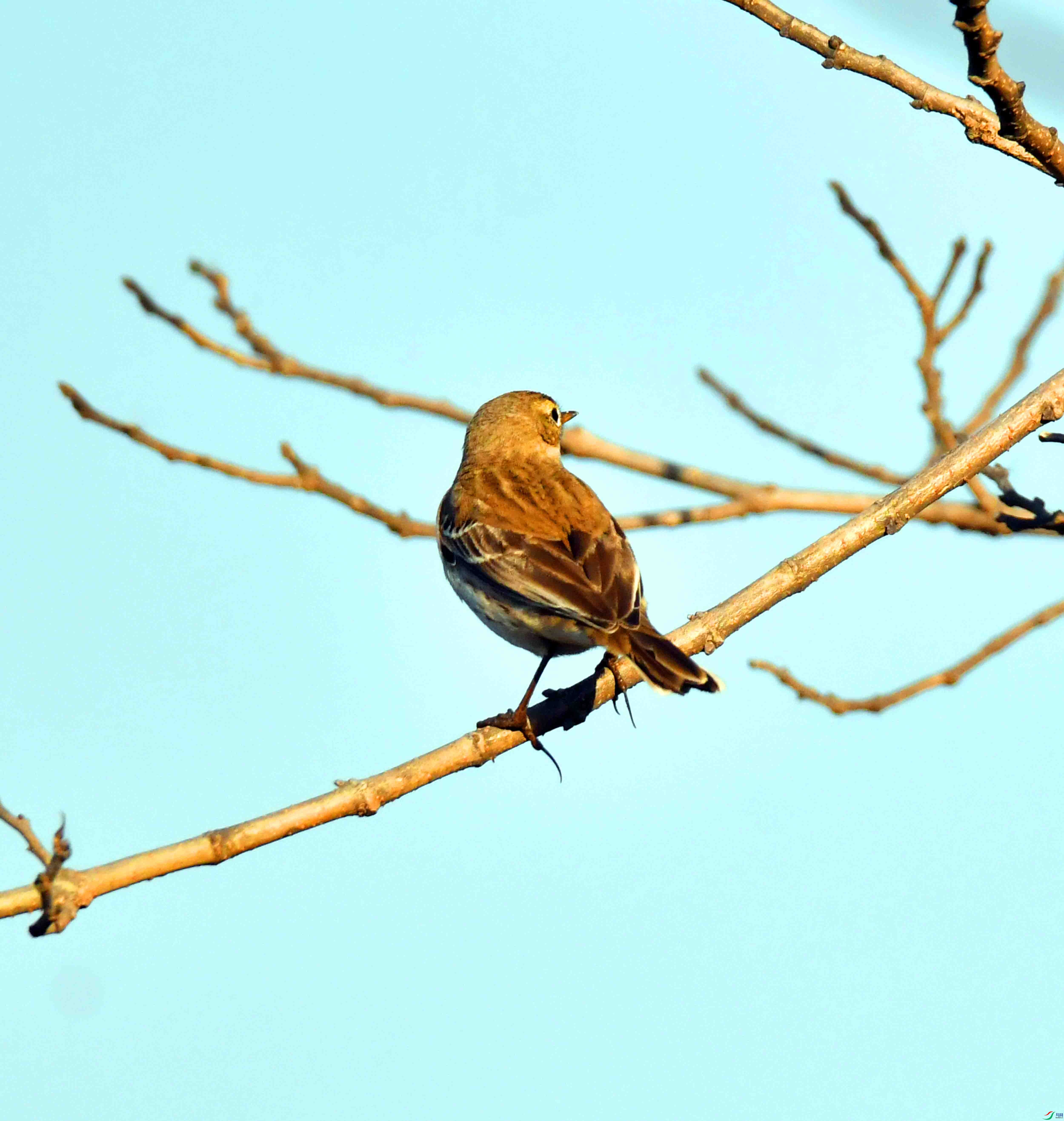 DSC_0456.JPG