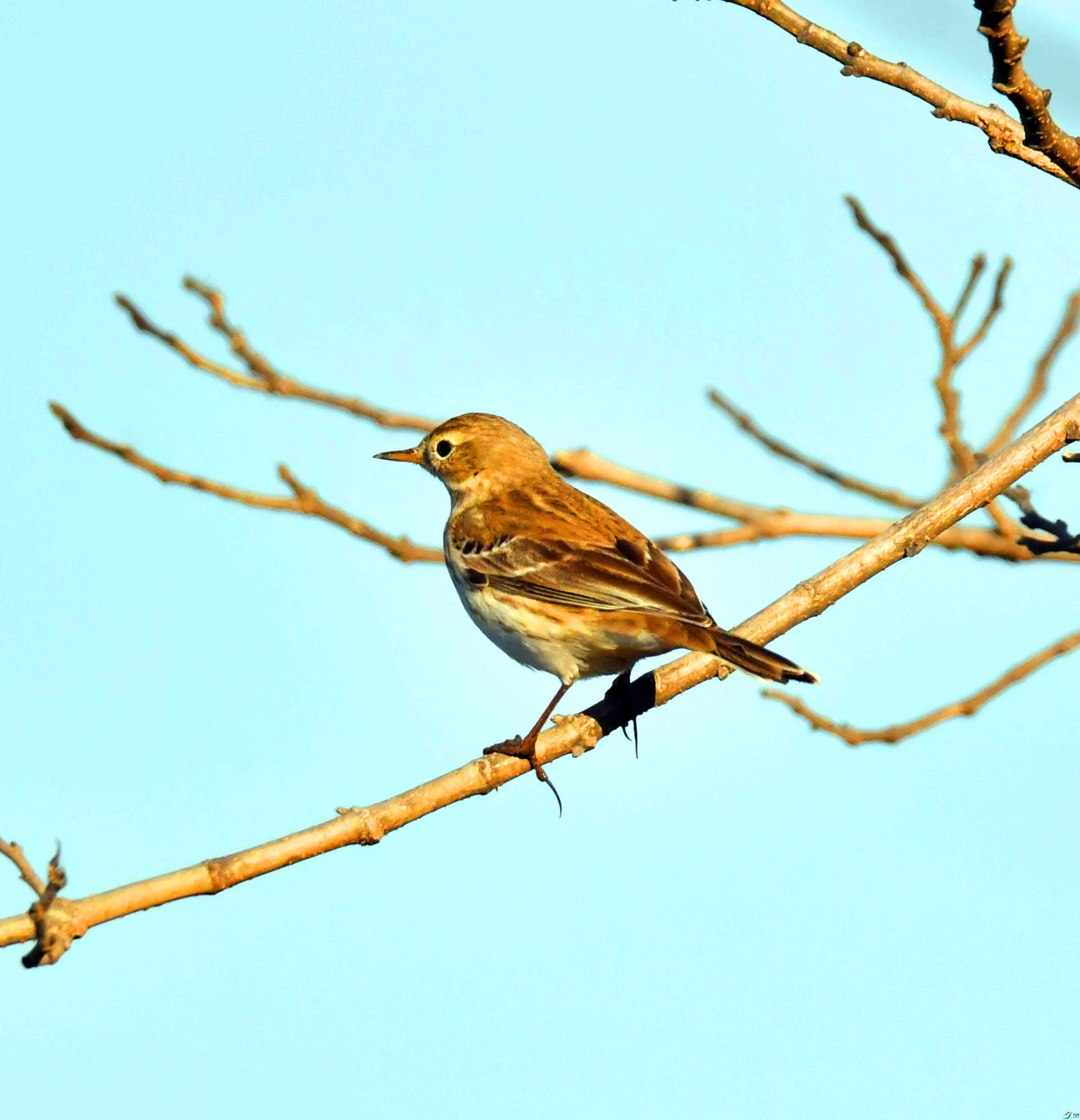 DSC_0462.JPG