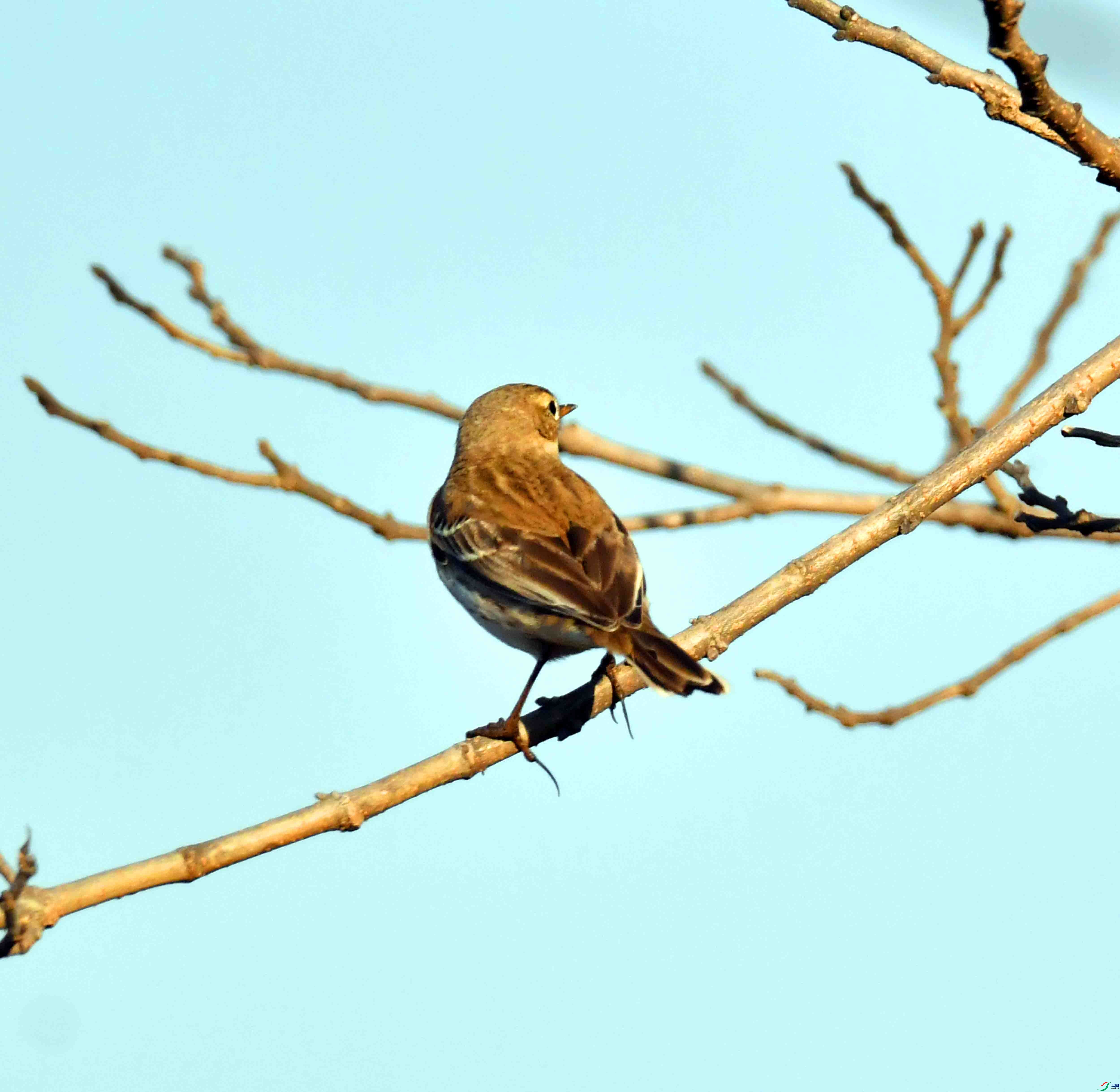 DSC_0458.JPG