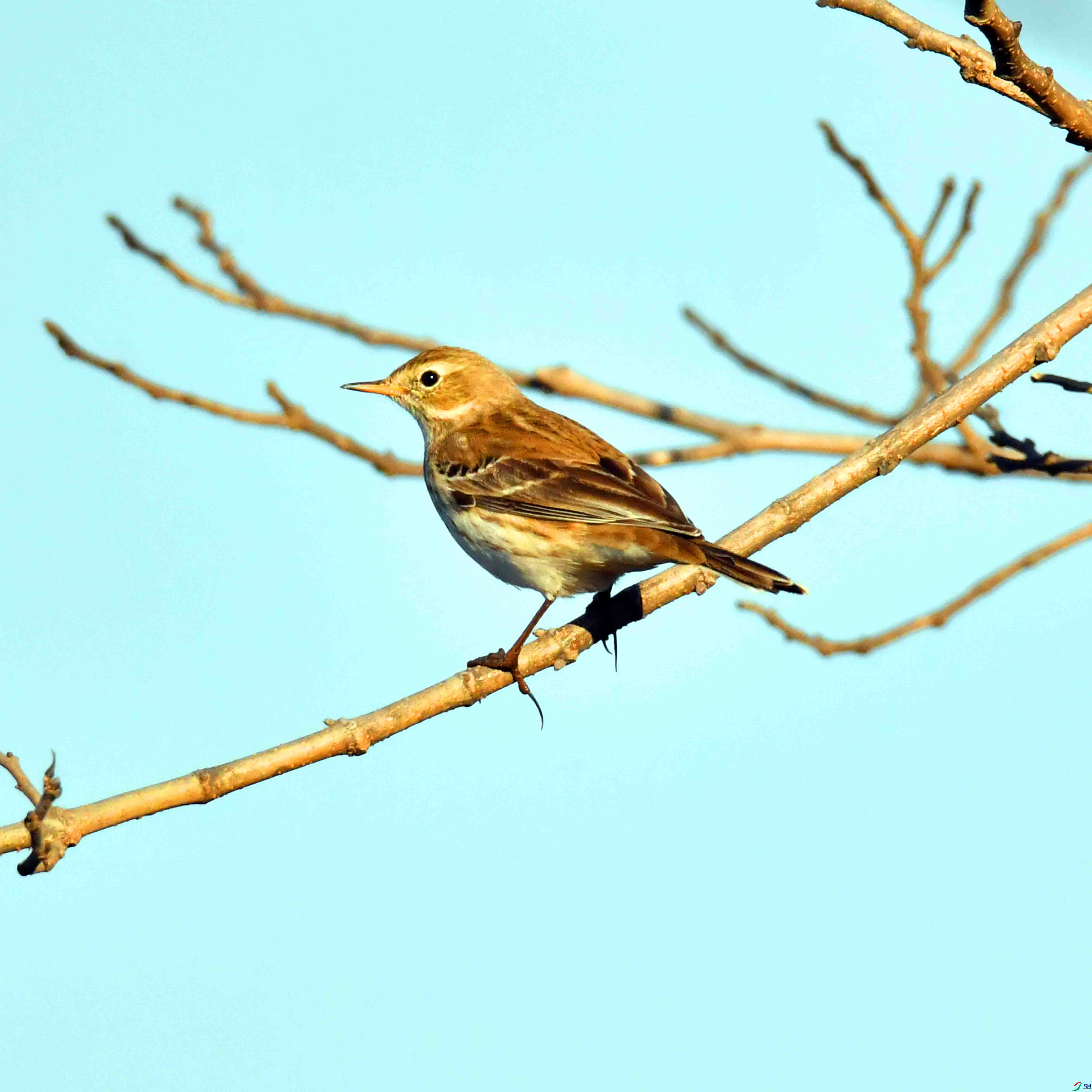 DSC_0465.JPG