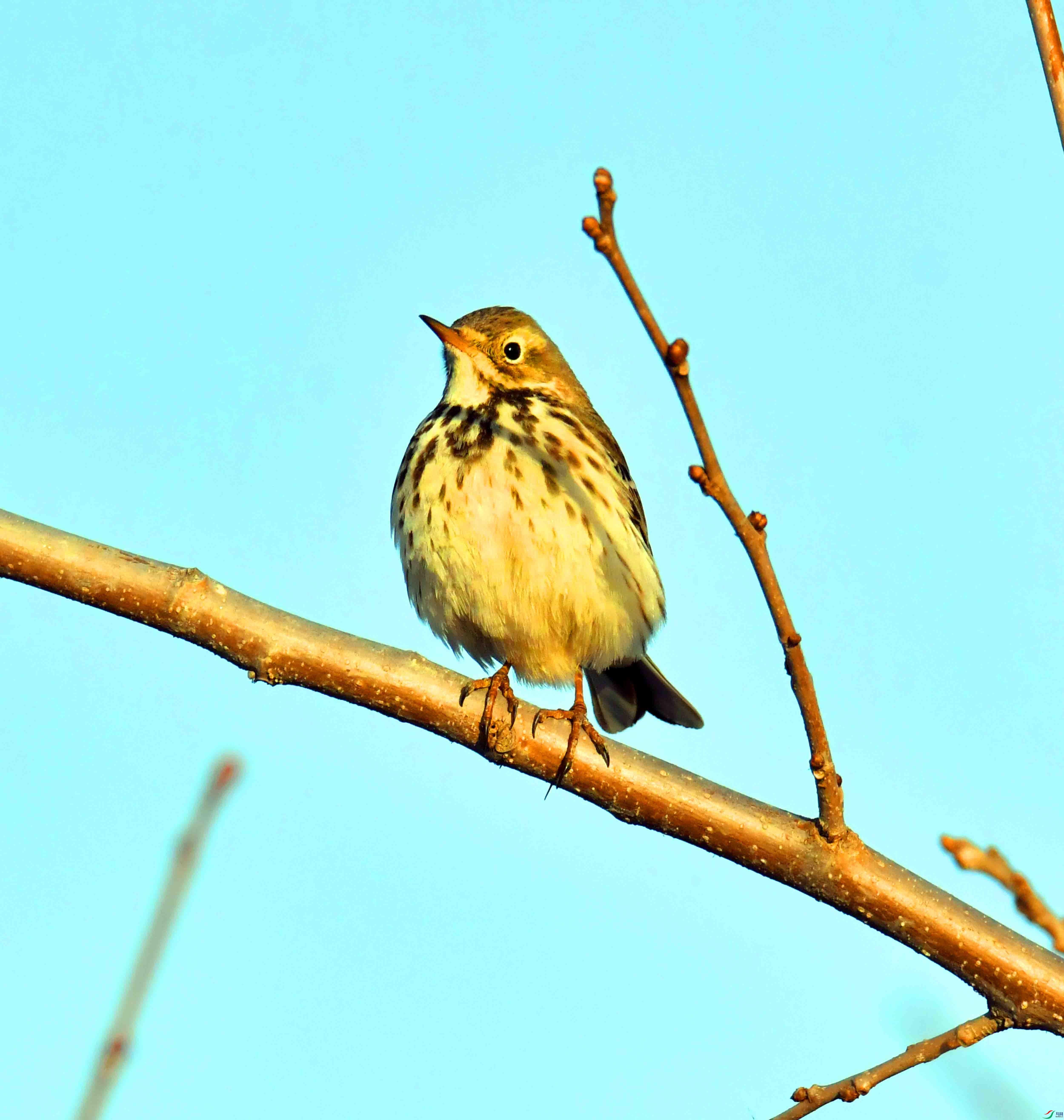 DSC_6975.JPG