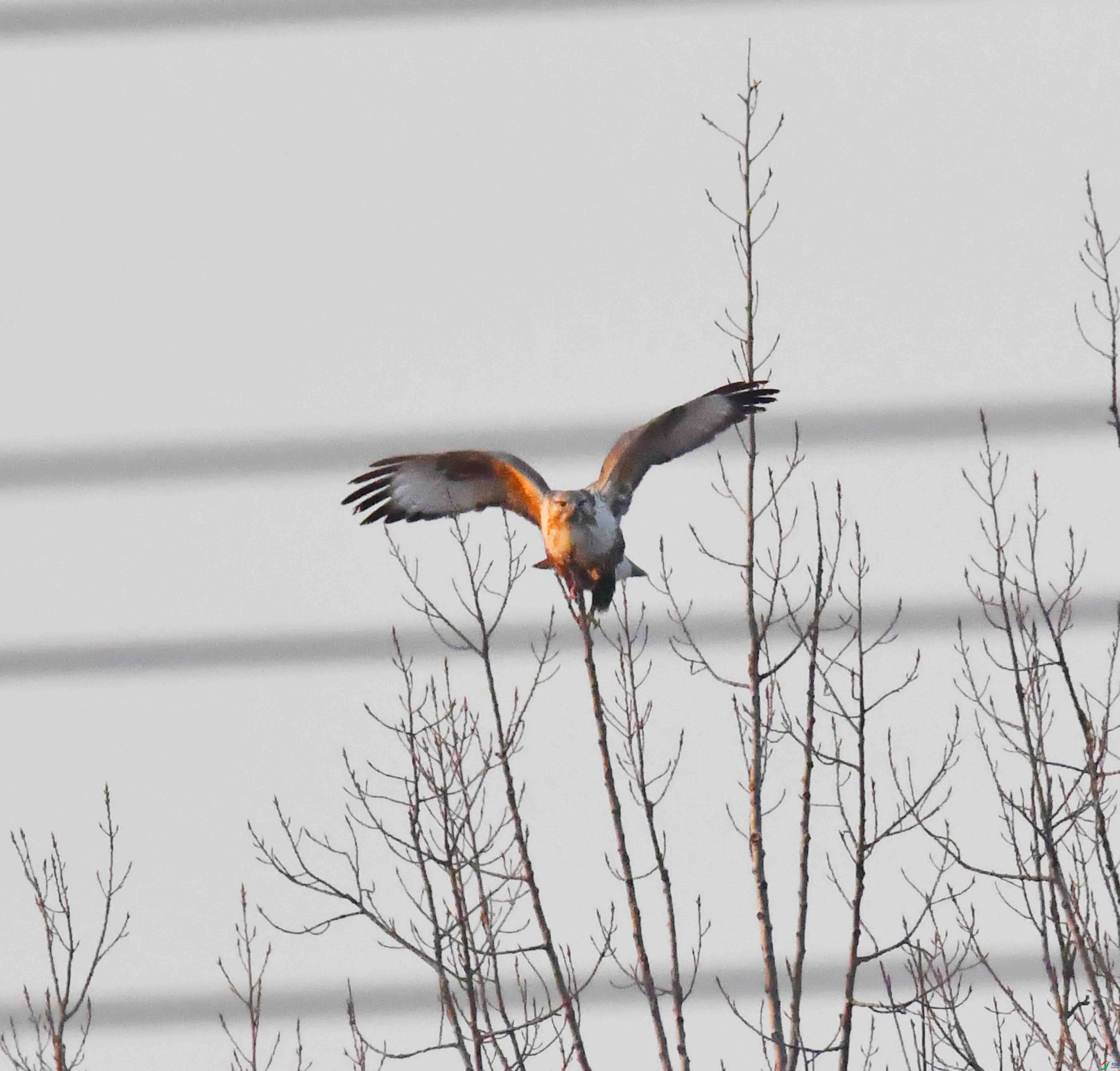 DSC_3182.JPG