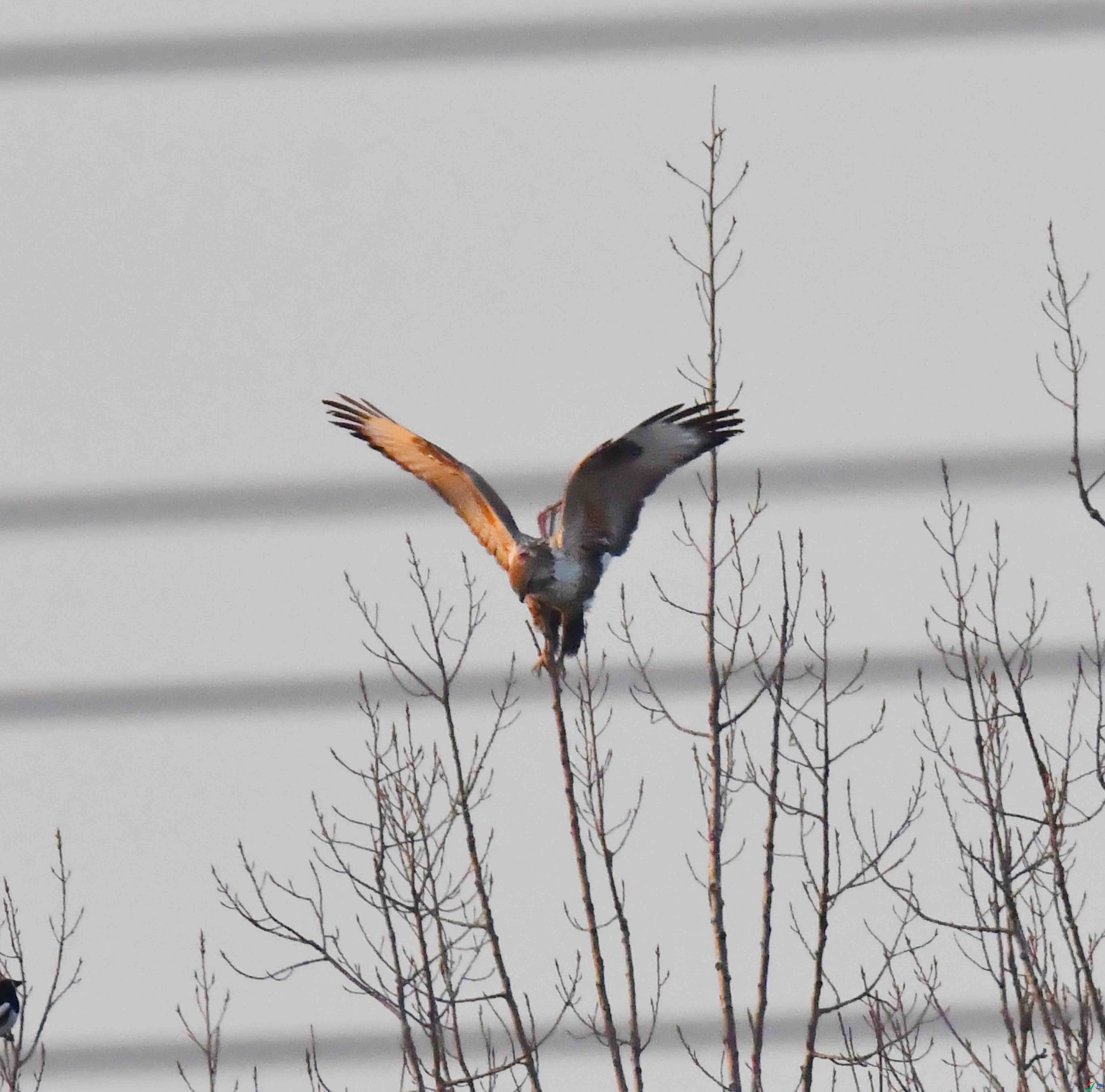 DSC_3215.JPG